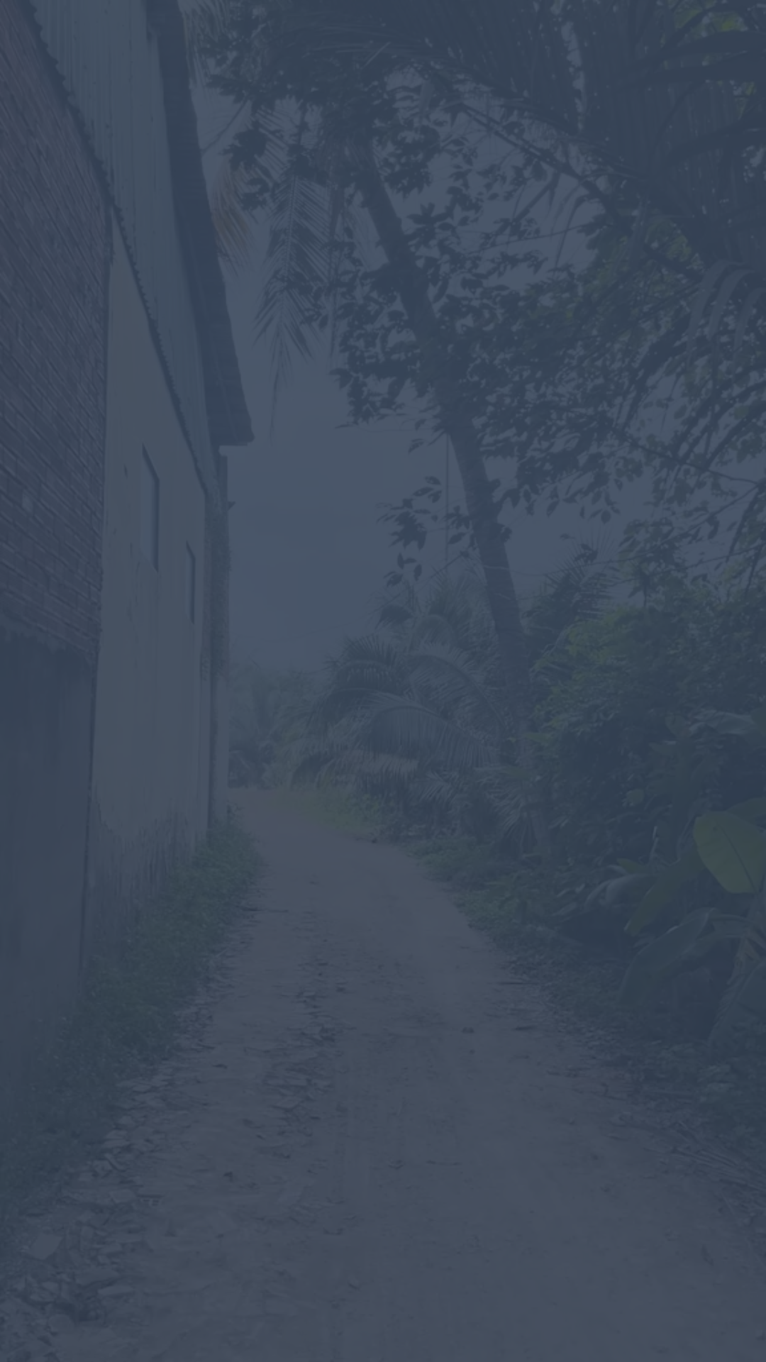 Gray overlay of a building next to a dirt road and a tree