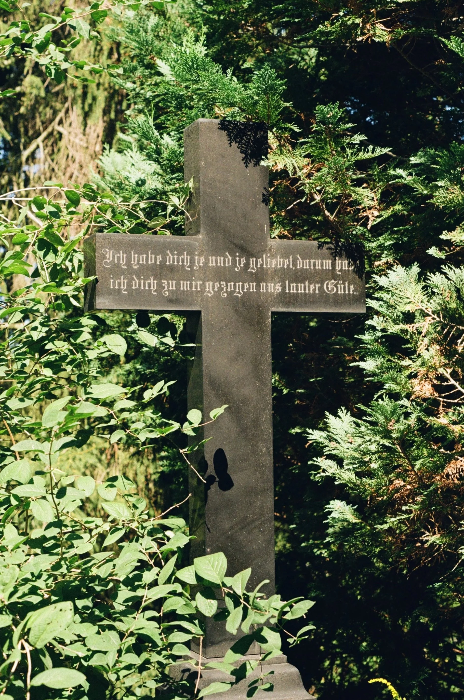 Cemetery monument surrounded by wildflowers and dense trees at Friedhöfe an der Bergmannstraße in Berlin.