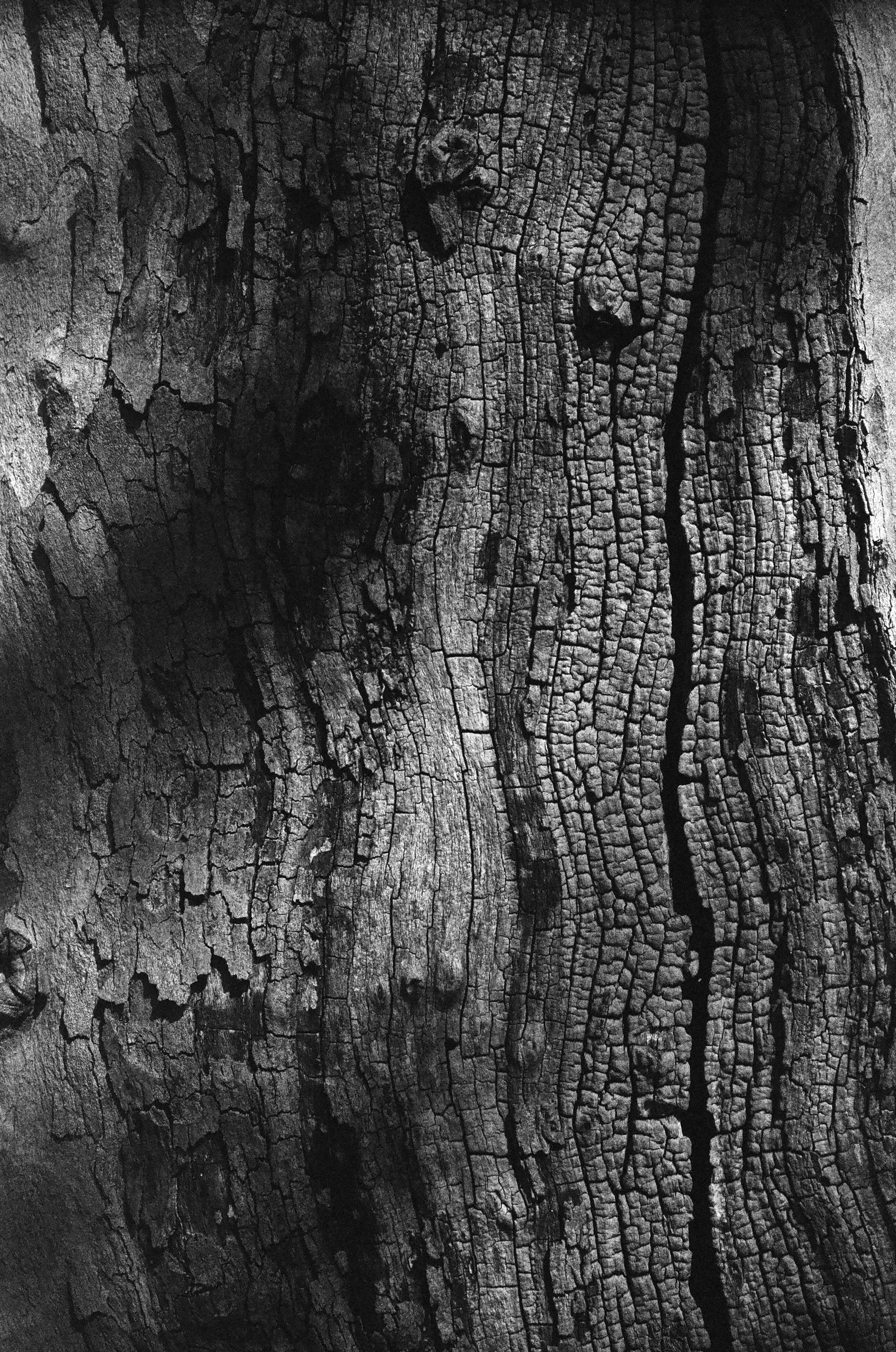 For print inquiries, please contact me via email
