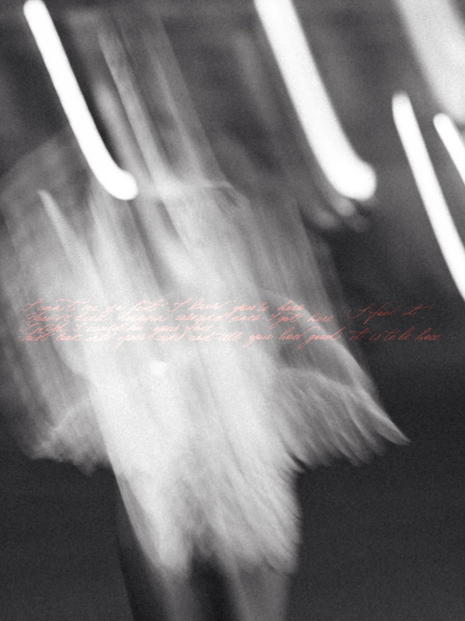 Black and white long exposure photograph of a woman dressed as an angel, standing outdoors with blurred light trails.