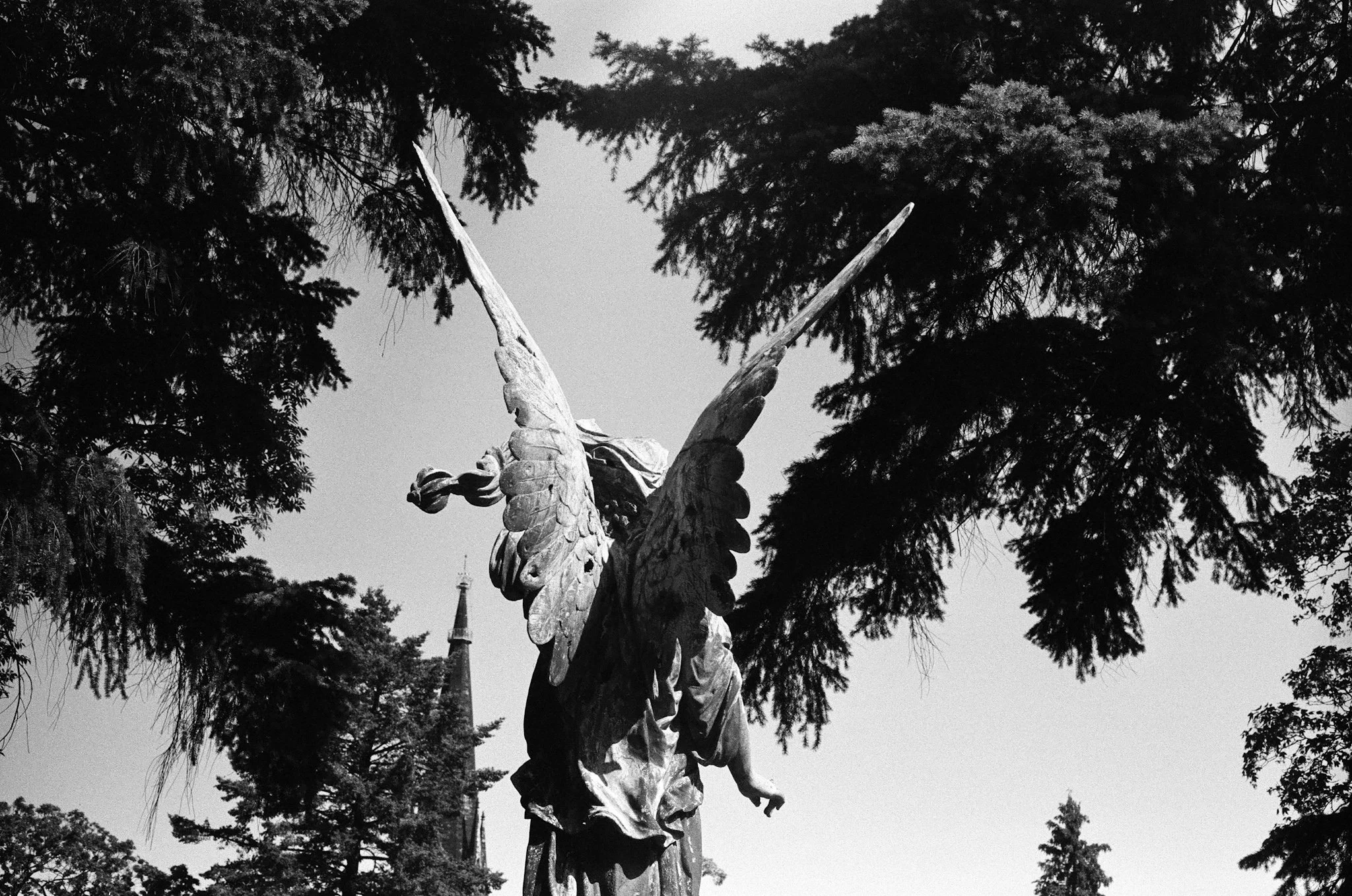 A black and white photo of a tall bronze angel statue with outstretched wings, surrounded by trees.