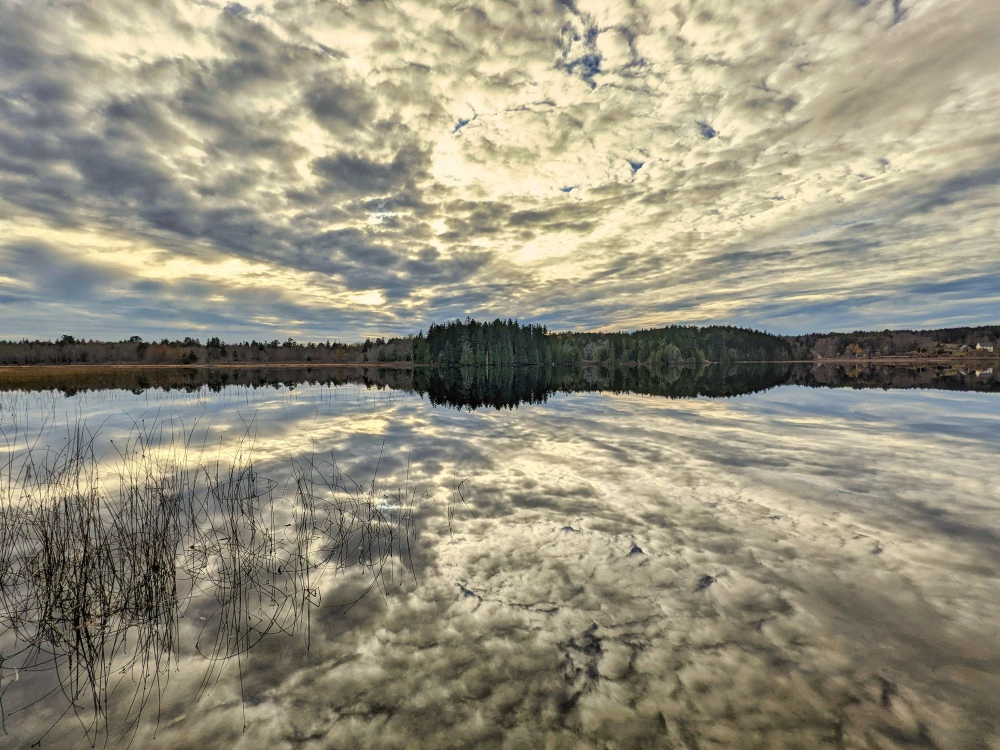 Dramatic clouds reflected in the still water of Seal Cove Pond on Mount Desert Island, Maine, with reeds, shoreline trees, and a small island.