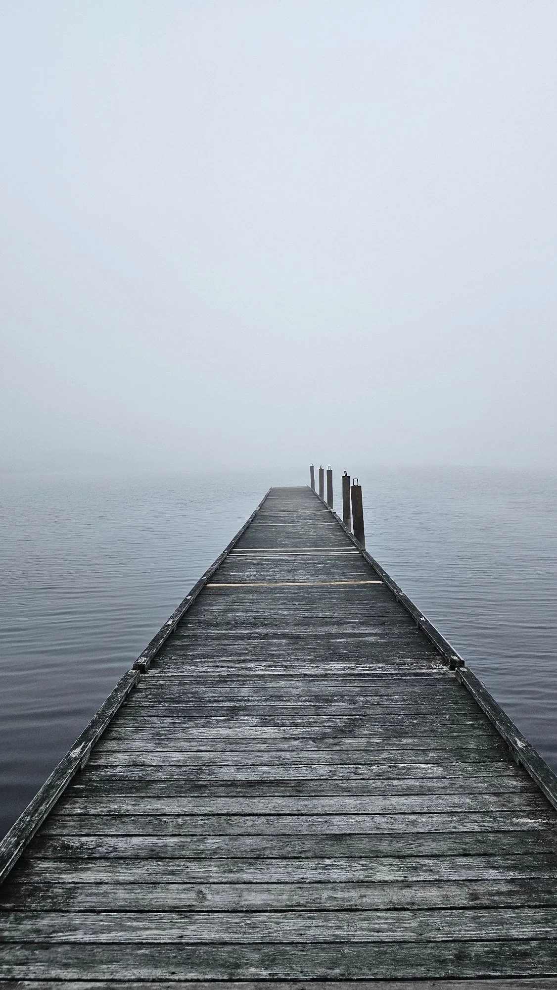Dock Into the Fog