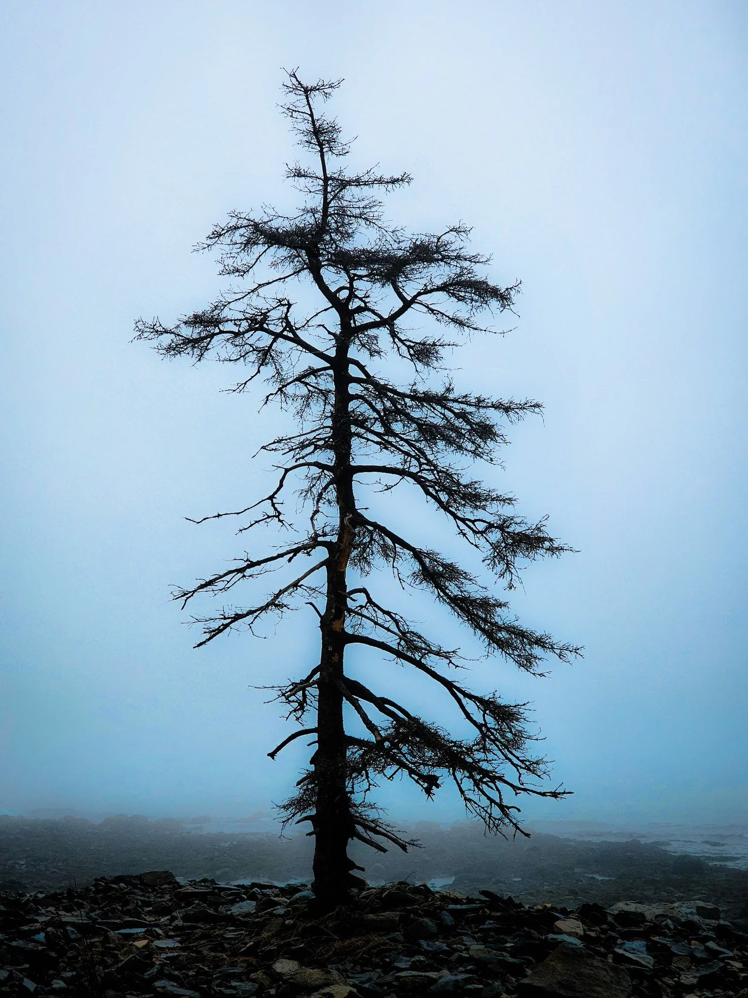 Still Standing at Seawall