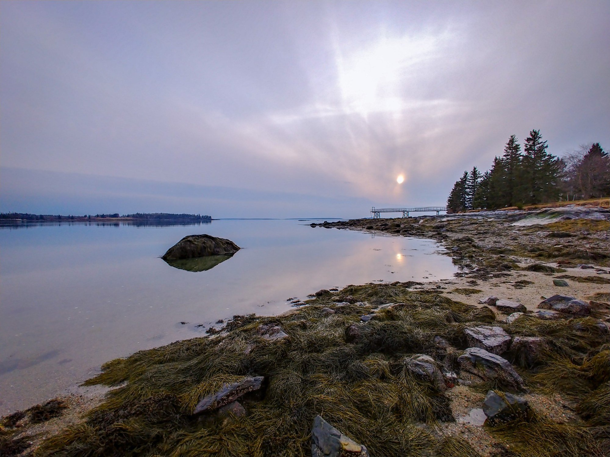 Low Sun at Seal Cove