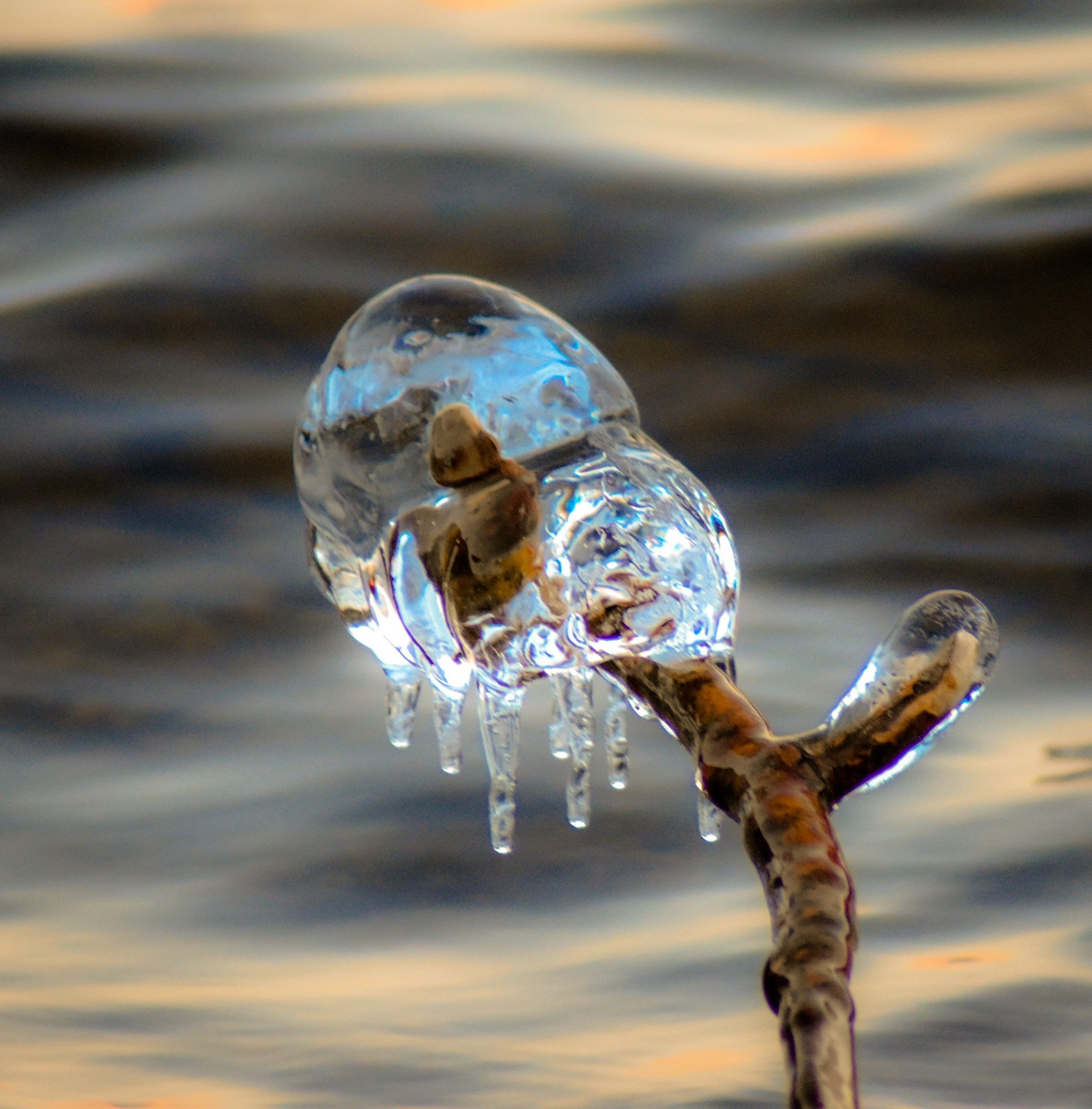 A Small Piece of Winter