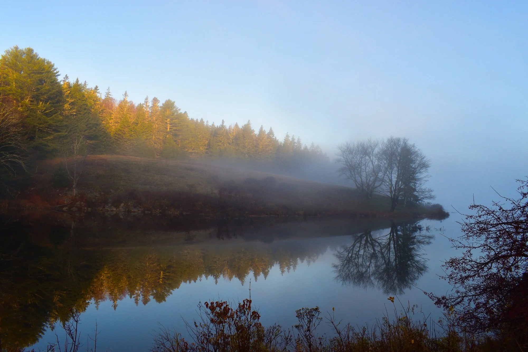 Morning Fog at Little Long Pond Field