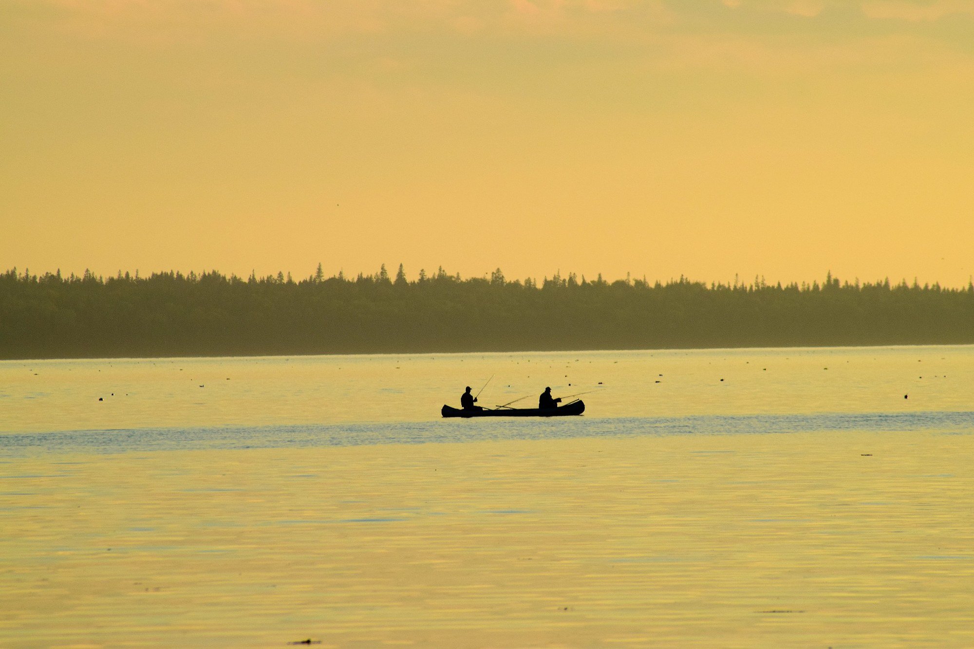 Golden Water at Seal Cove