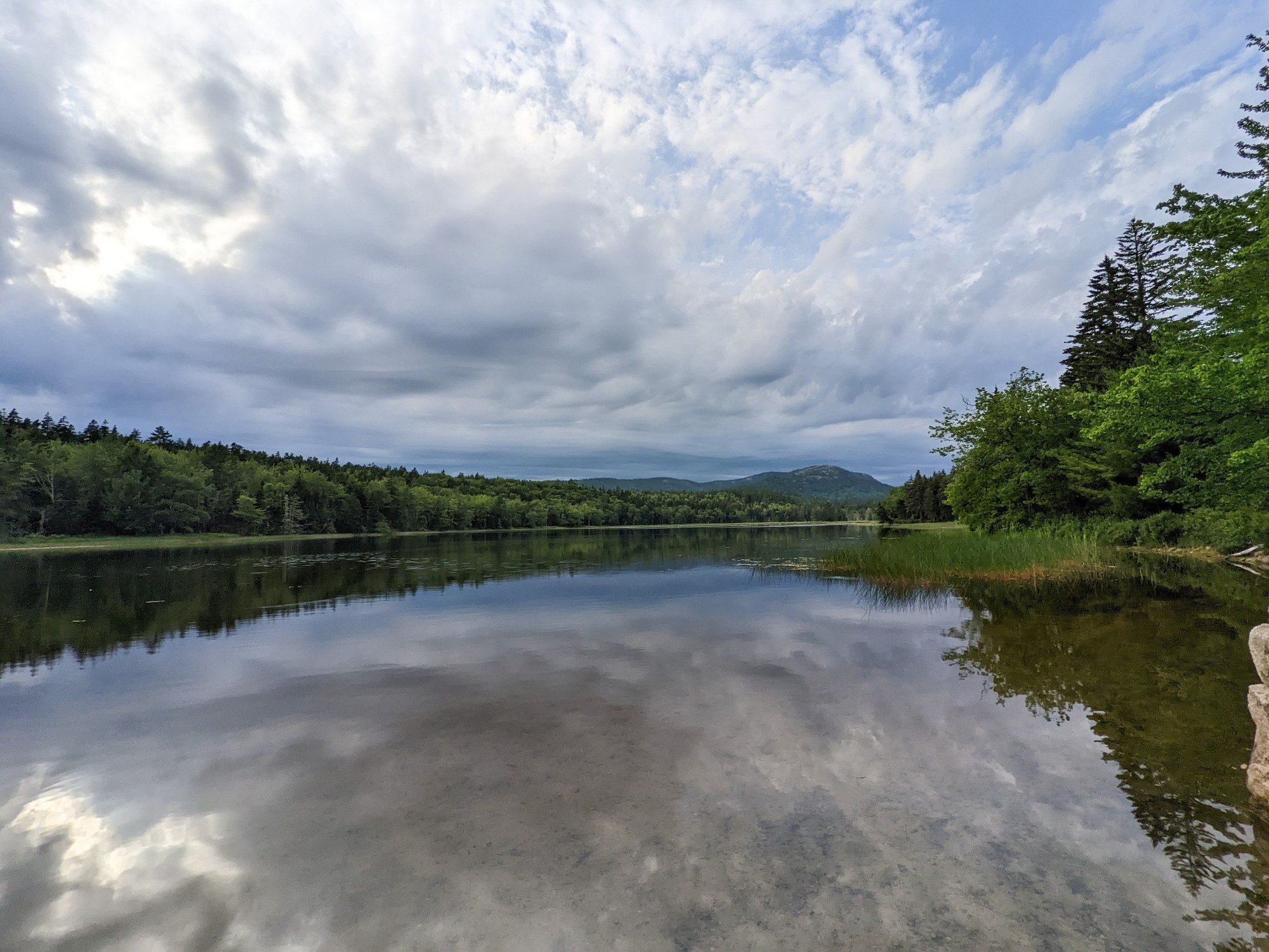 Clouds reflected in the still water of Little Long Pond in Seal Harbor on Mount Desert Island, Maine, with forested shoreline and hills in the distance.