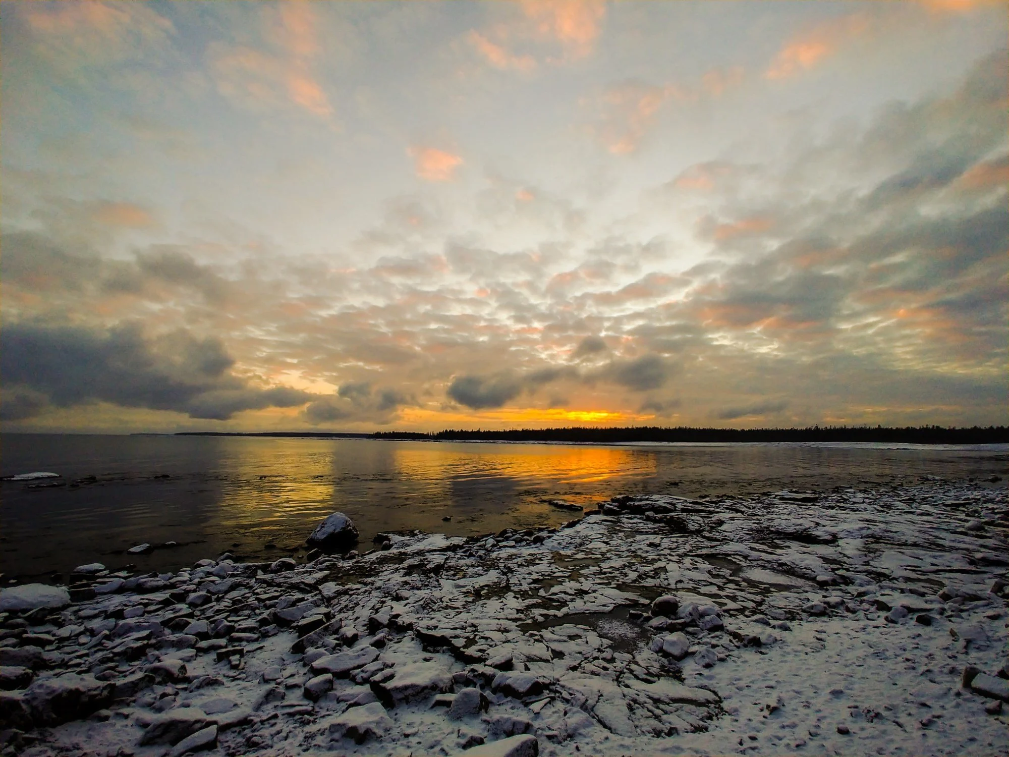 Winter Gold at Seawall
