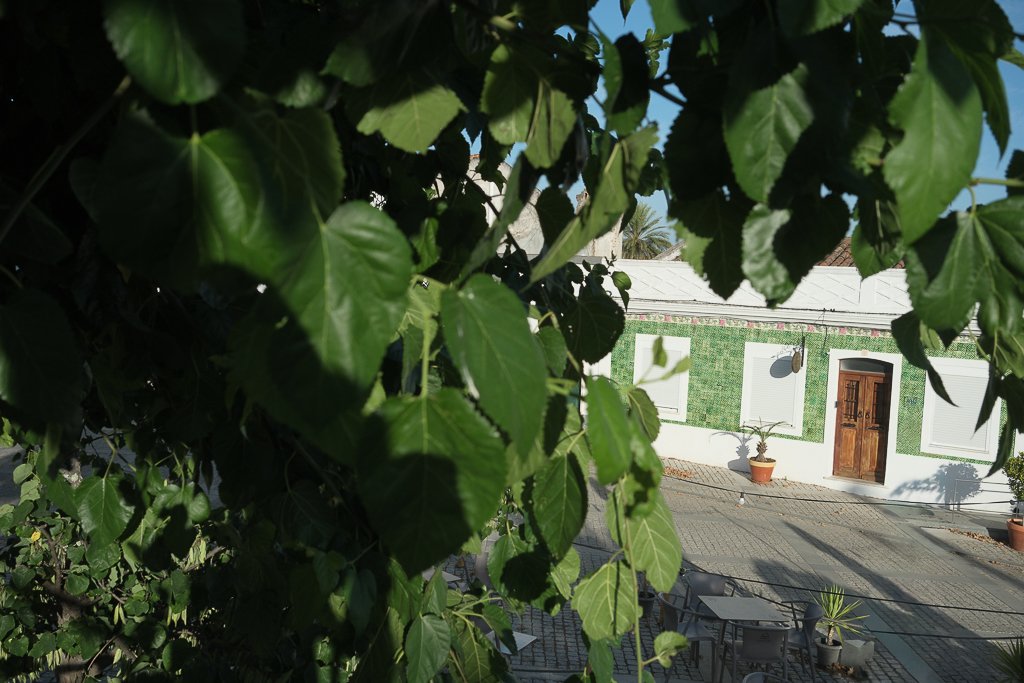 vila alba-8.jpg
