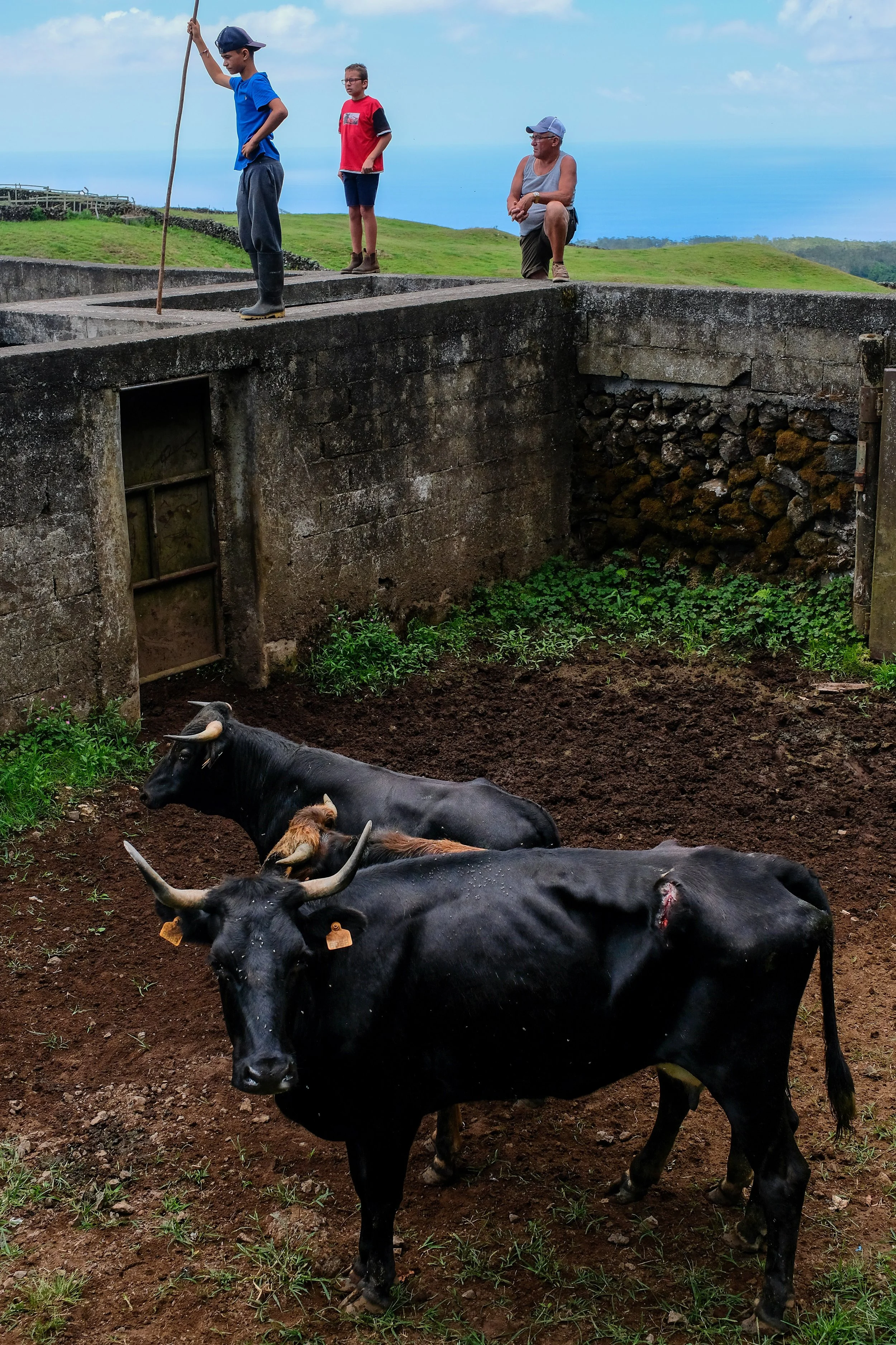 site_Terceira_-5.jpg