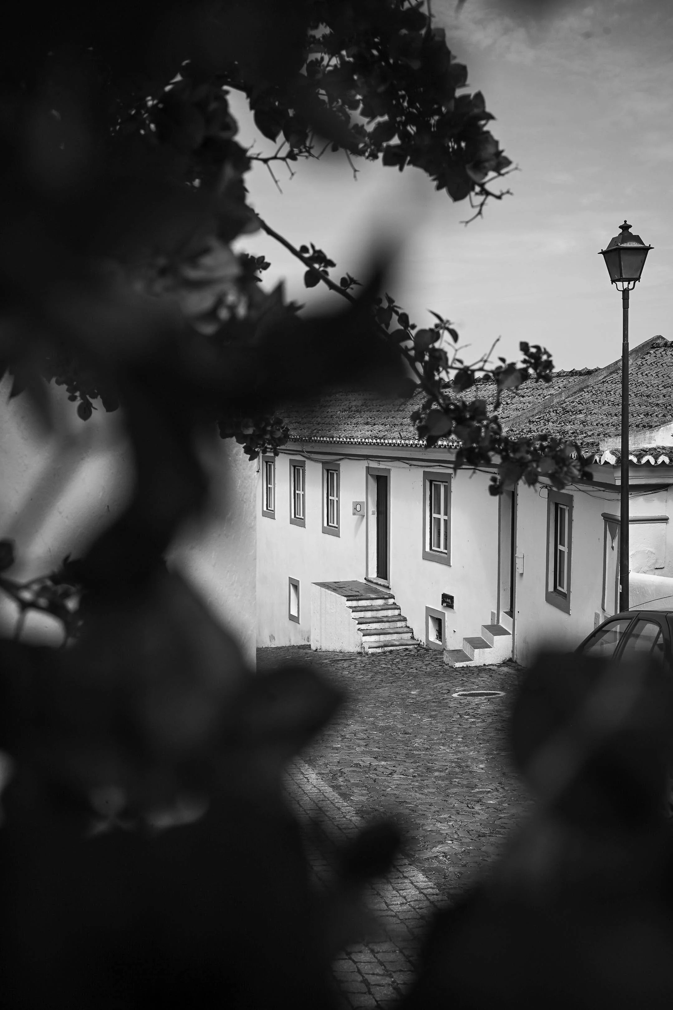 site_R_ALENTEJO_-4.jpg
