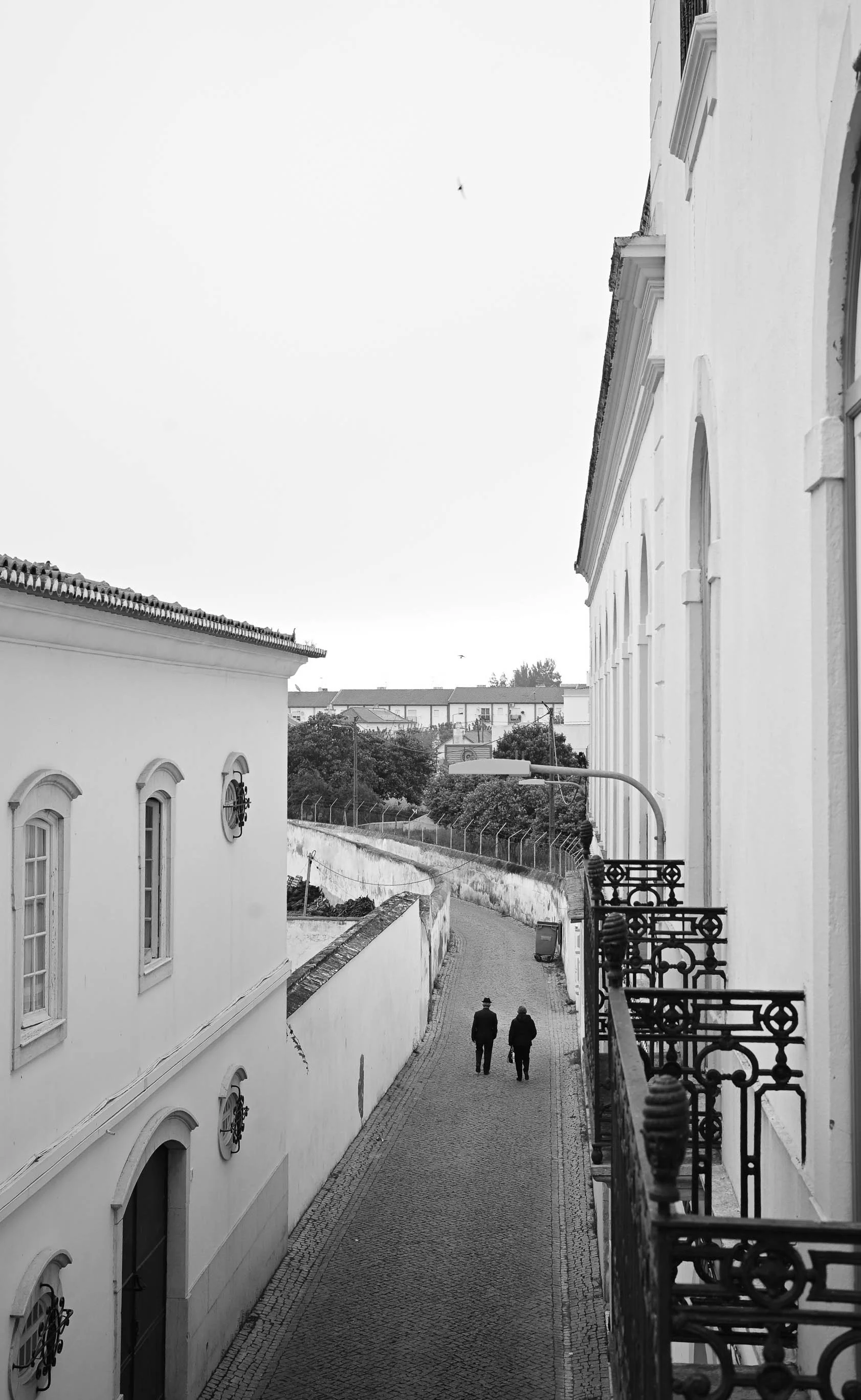 site_R_ALENTEJO_-13.jpg