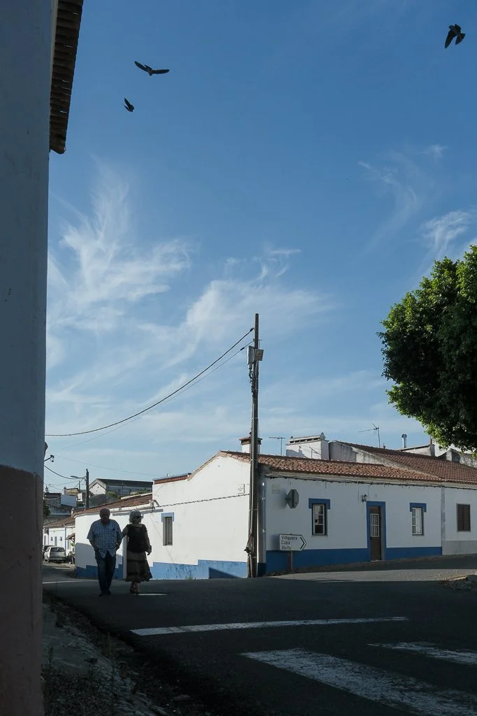 vila alba-13.jpg
