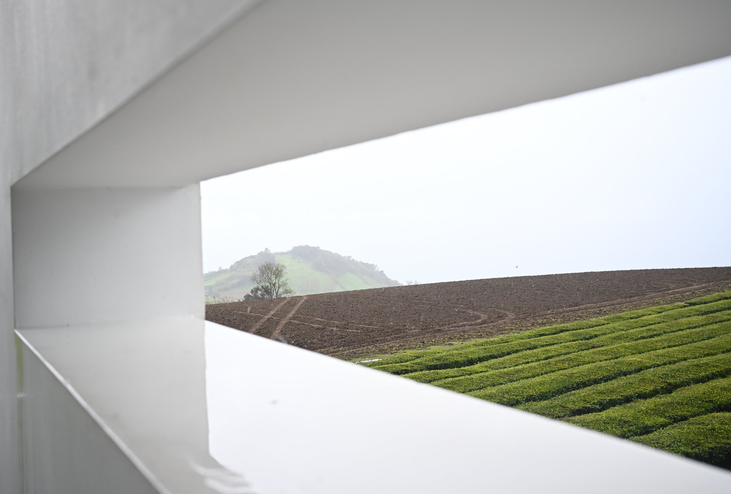 A view of farmland and rolling hills through a geometric opening in a modern white building.