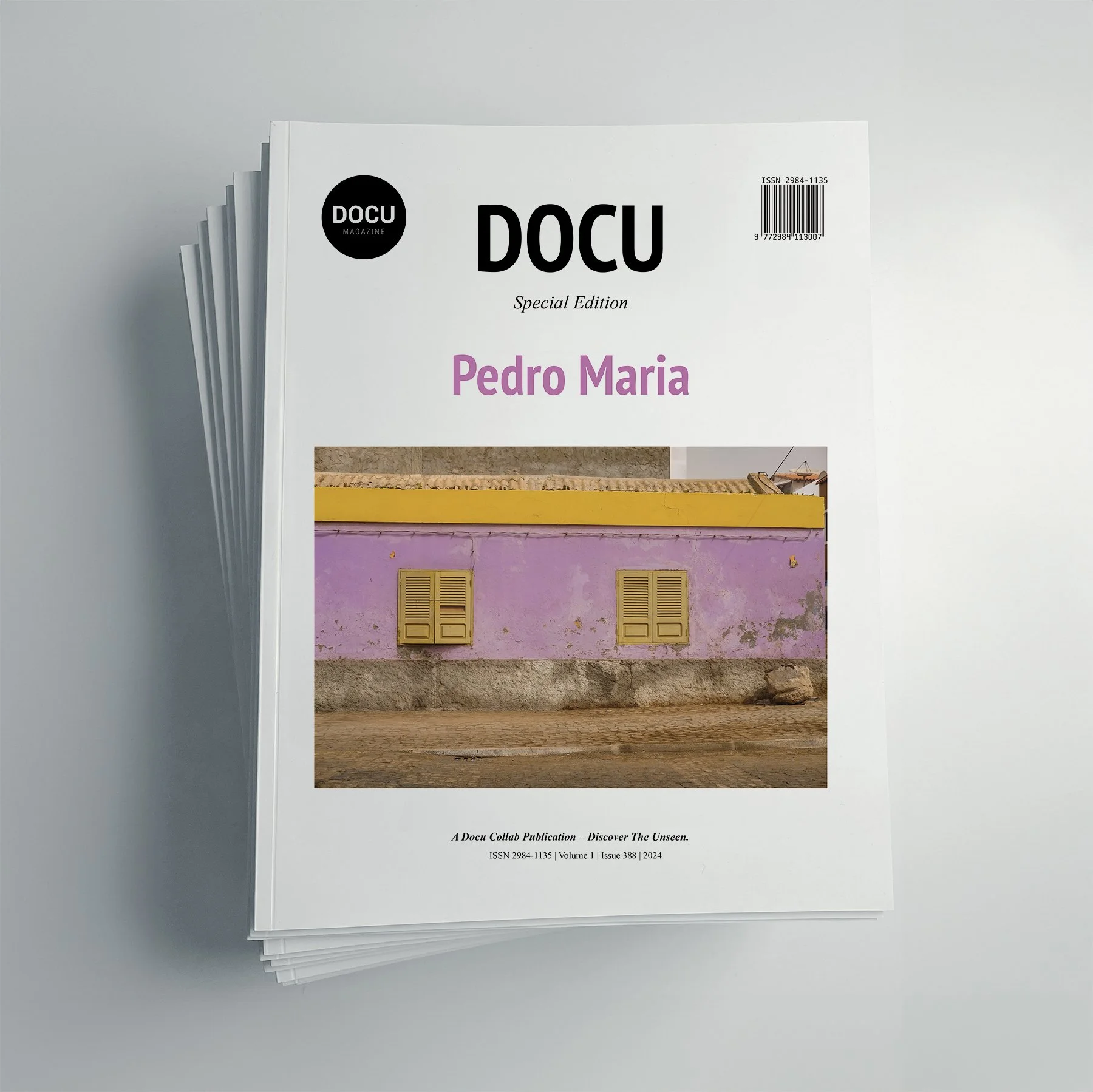 The cover of a magazine titled 'DOCU,' labeled as a special edition, featuring an image of a pink building with yellow window shutters and a yellow door. The magazine is placed on a gray surface.