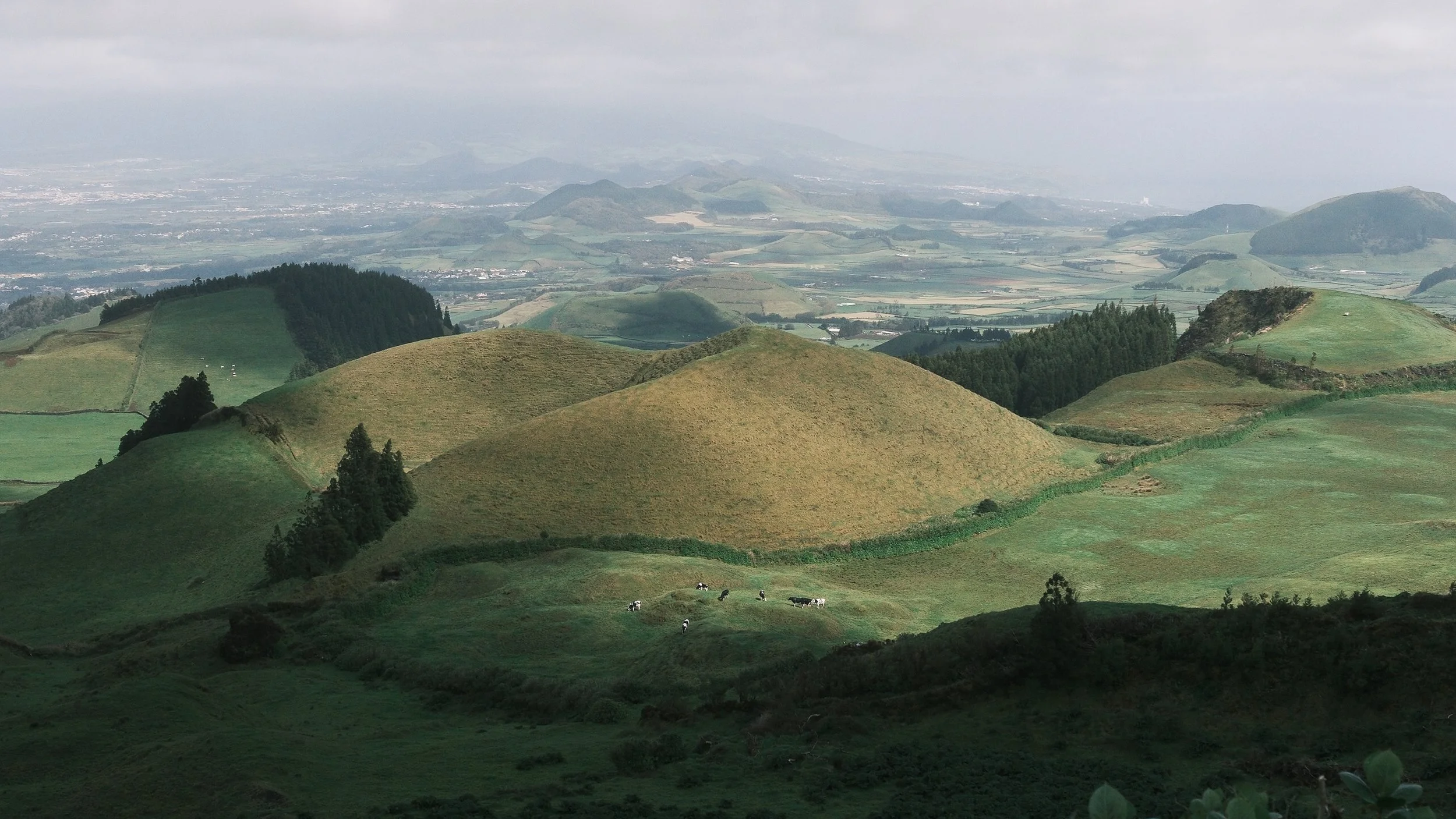 Site_1-11.jpg