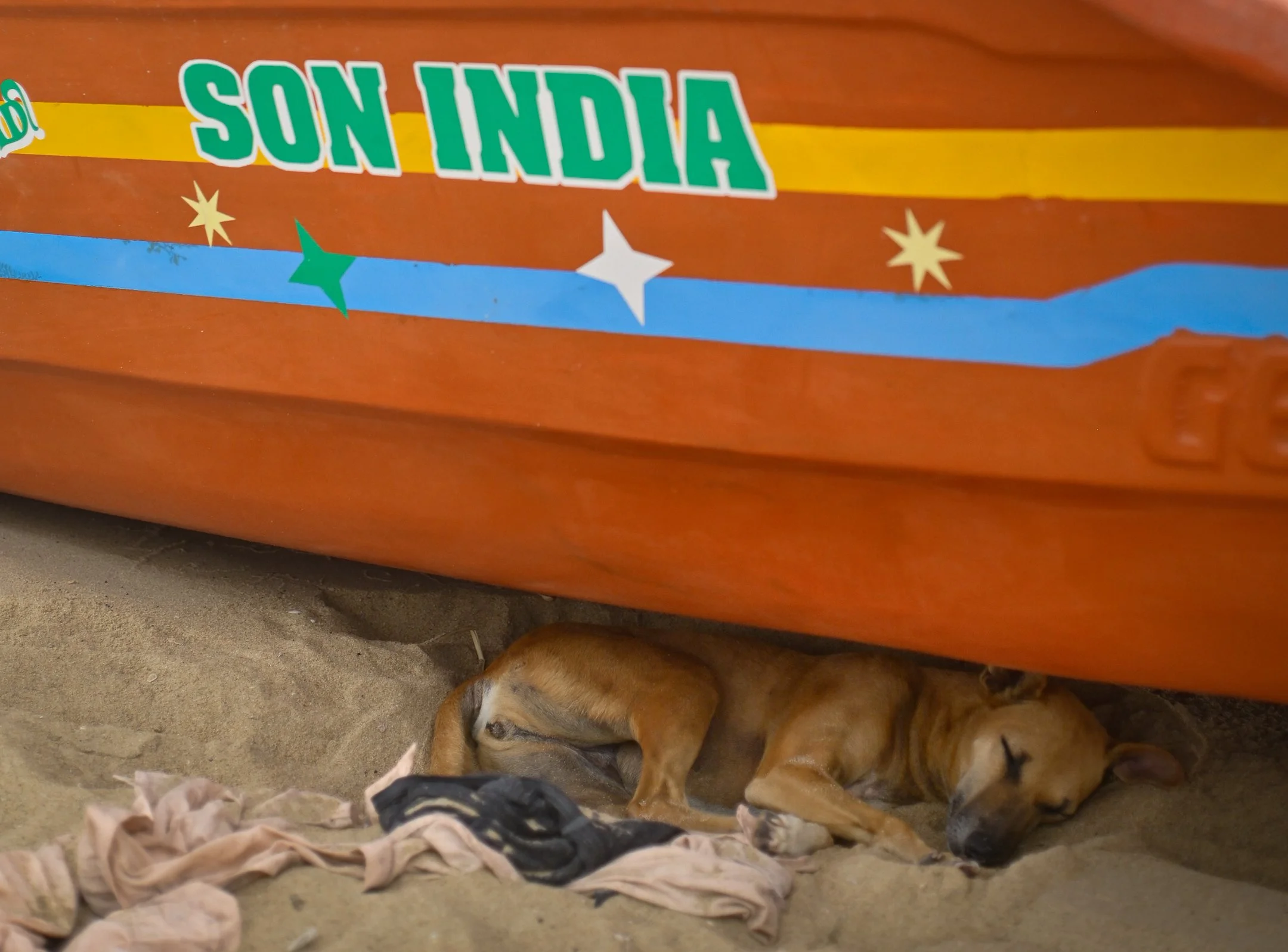 site_India_-10.jpg