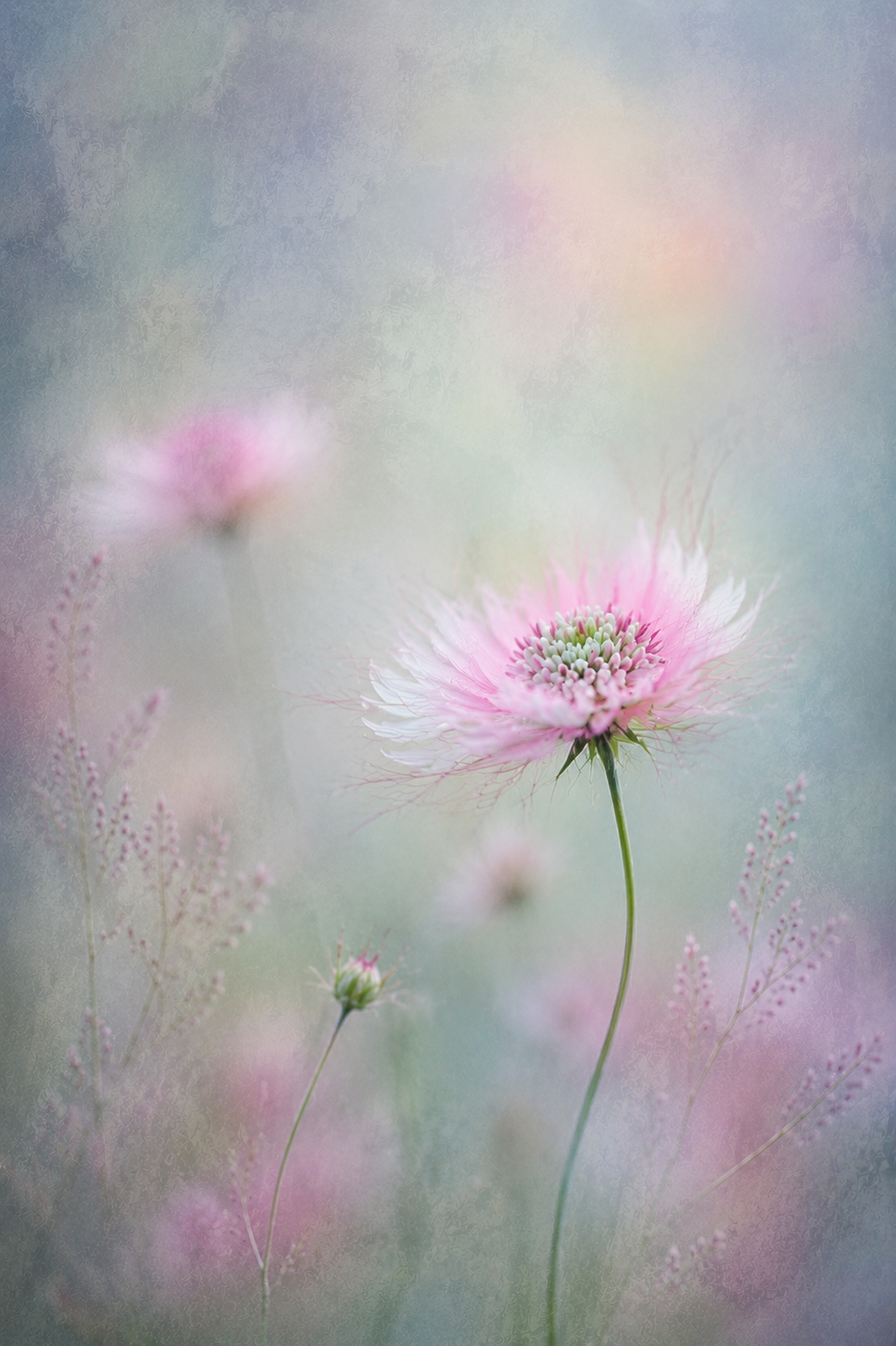 BD664B48-4E50-49F0-AD15-C470A1AD6DB5.png
