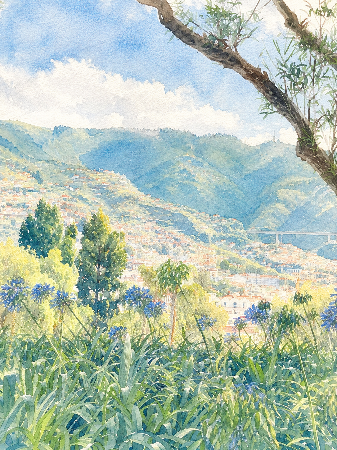 Garden with a View Madeira