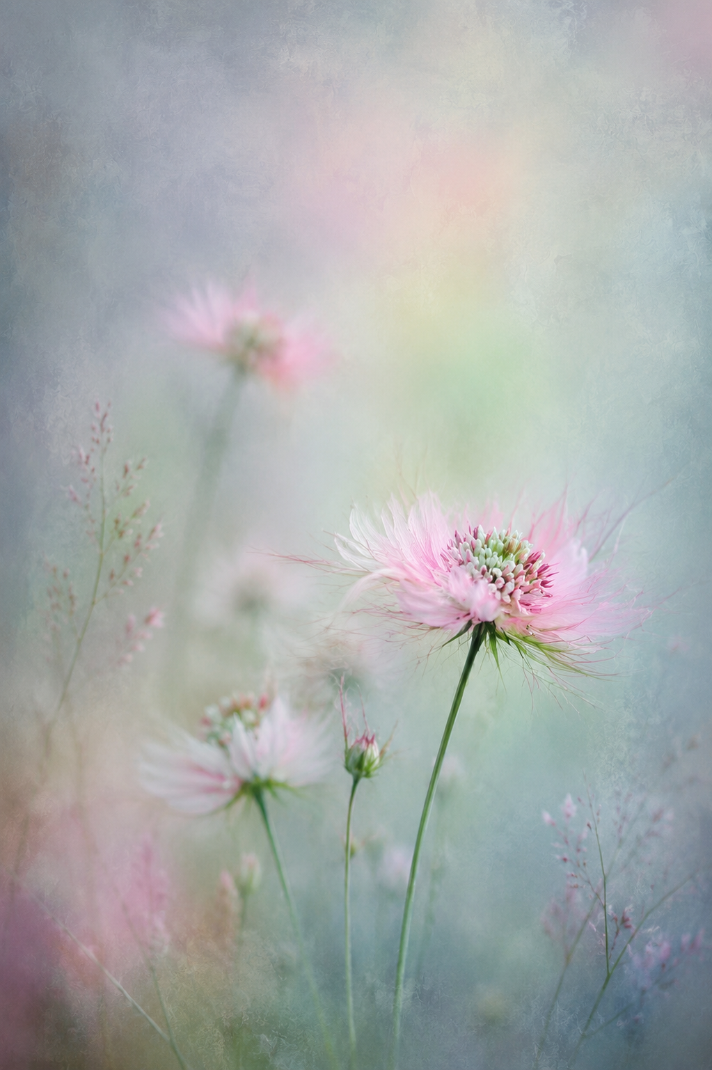 29227E26-ED94-4A1E-8A4E-B7764FB6111F.png