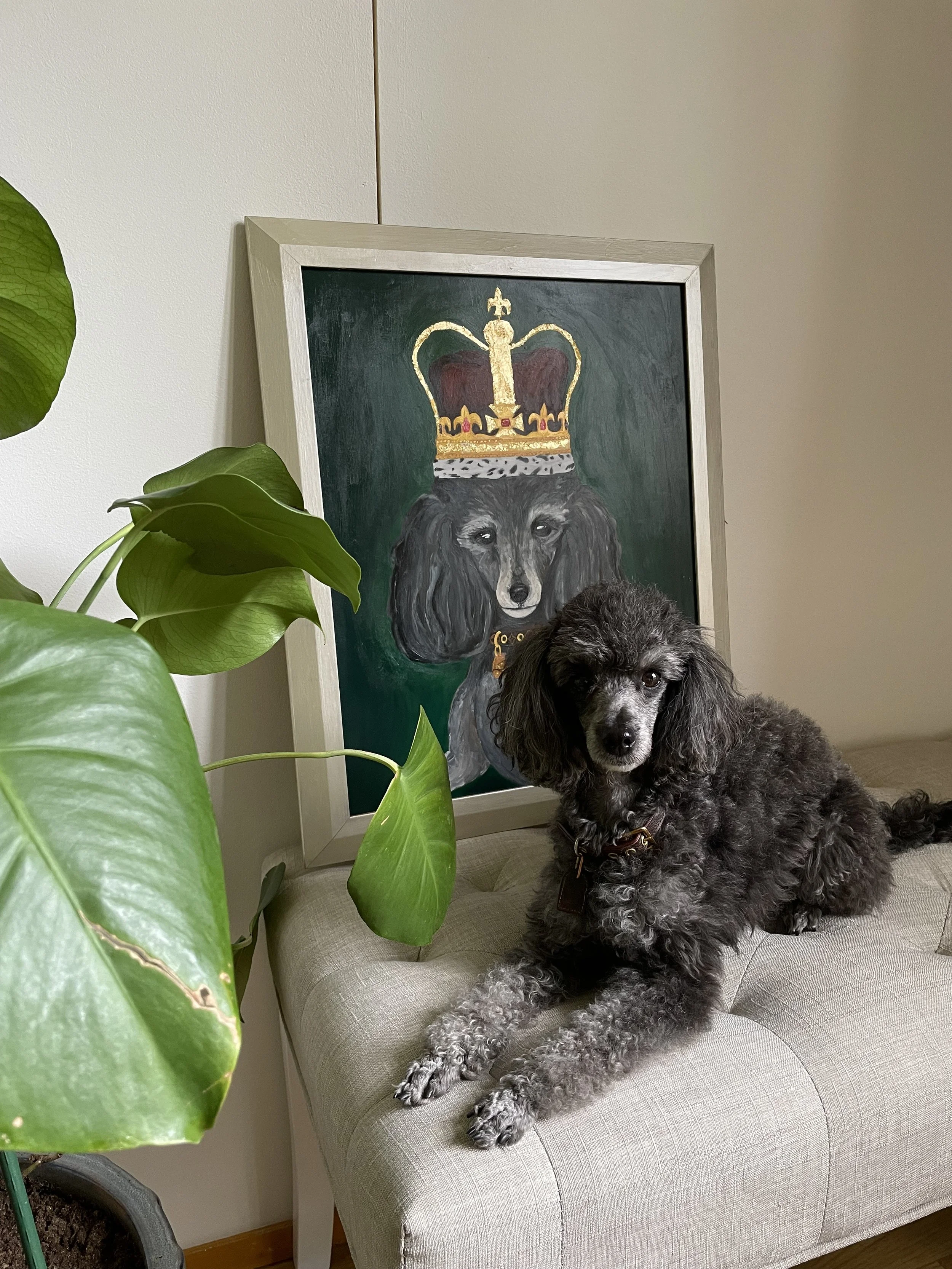 Nora the poodle relaxing beneath one of the original Ceare Art paintings.