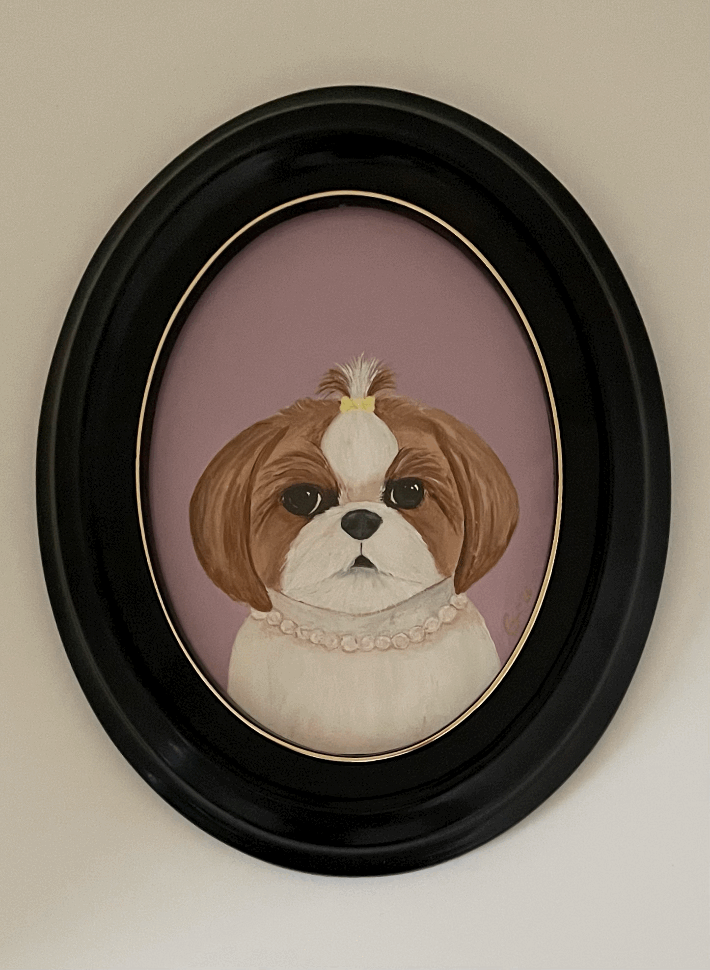 Sunday Best - Shih Tzu