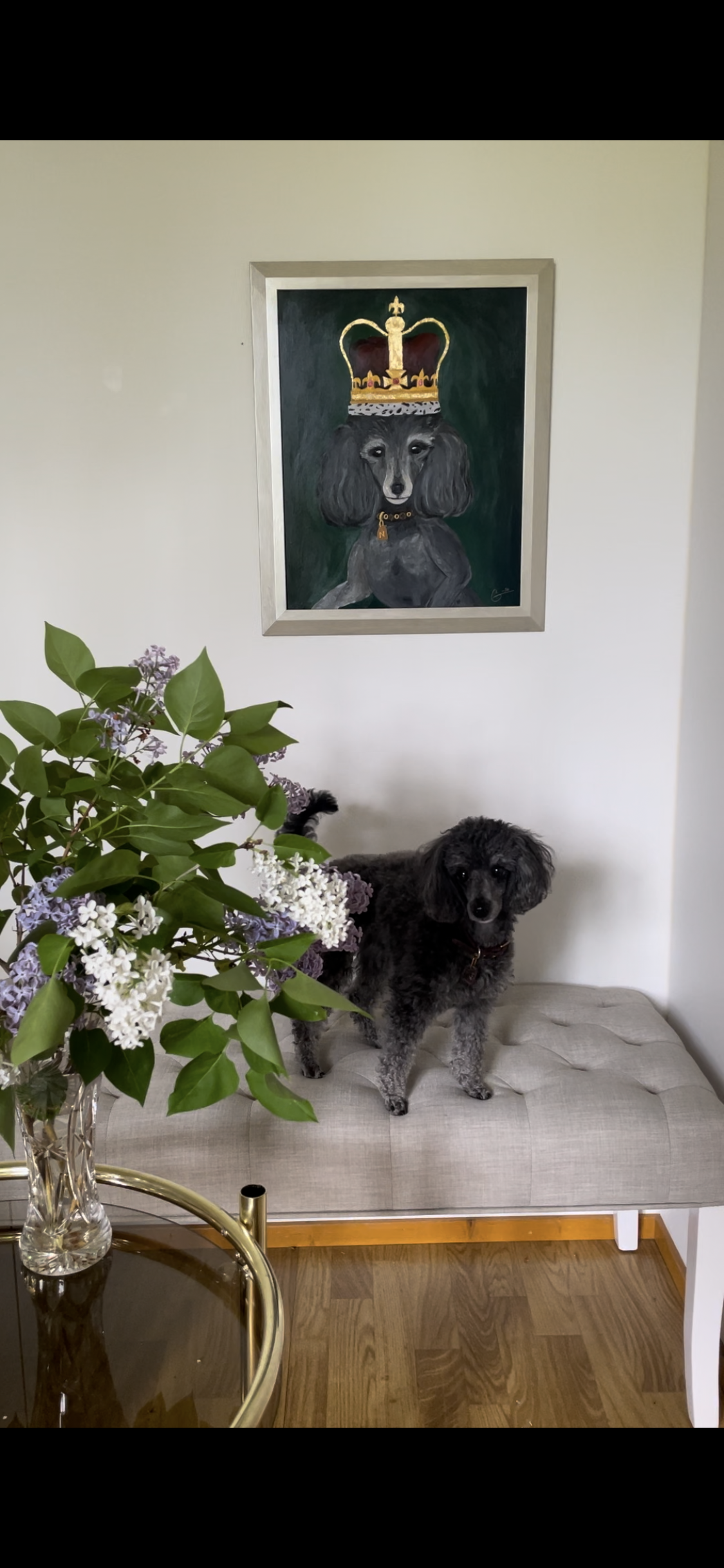 Nora the Poodle and a portrait of her.