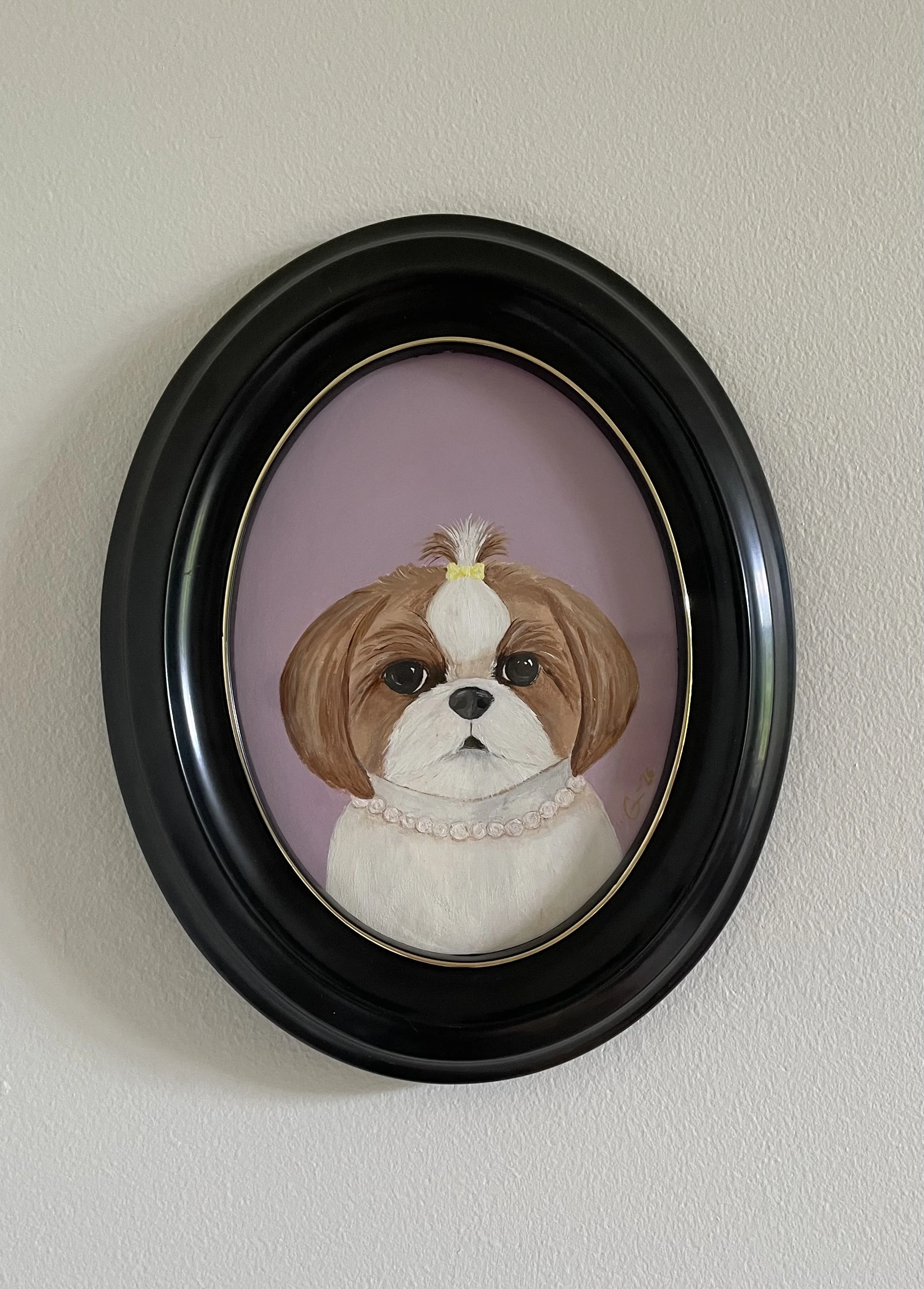 Shih Tzu - 20 x 16 cm including the frame