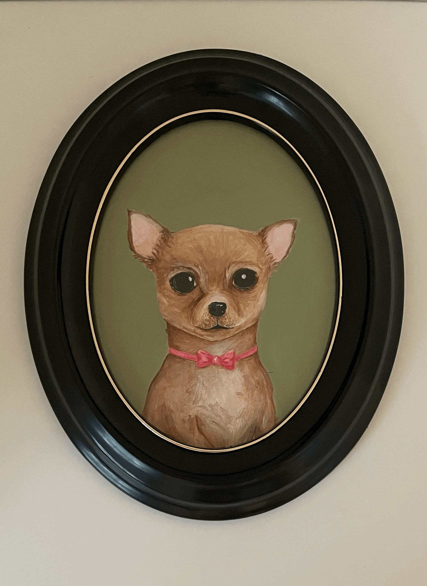 Sunday Best - Chihuahua