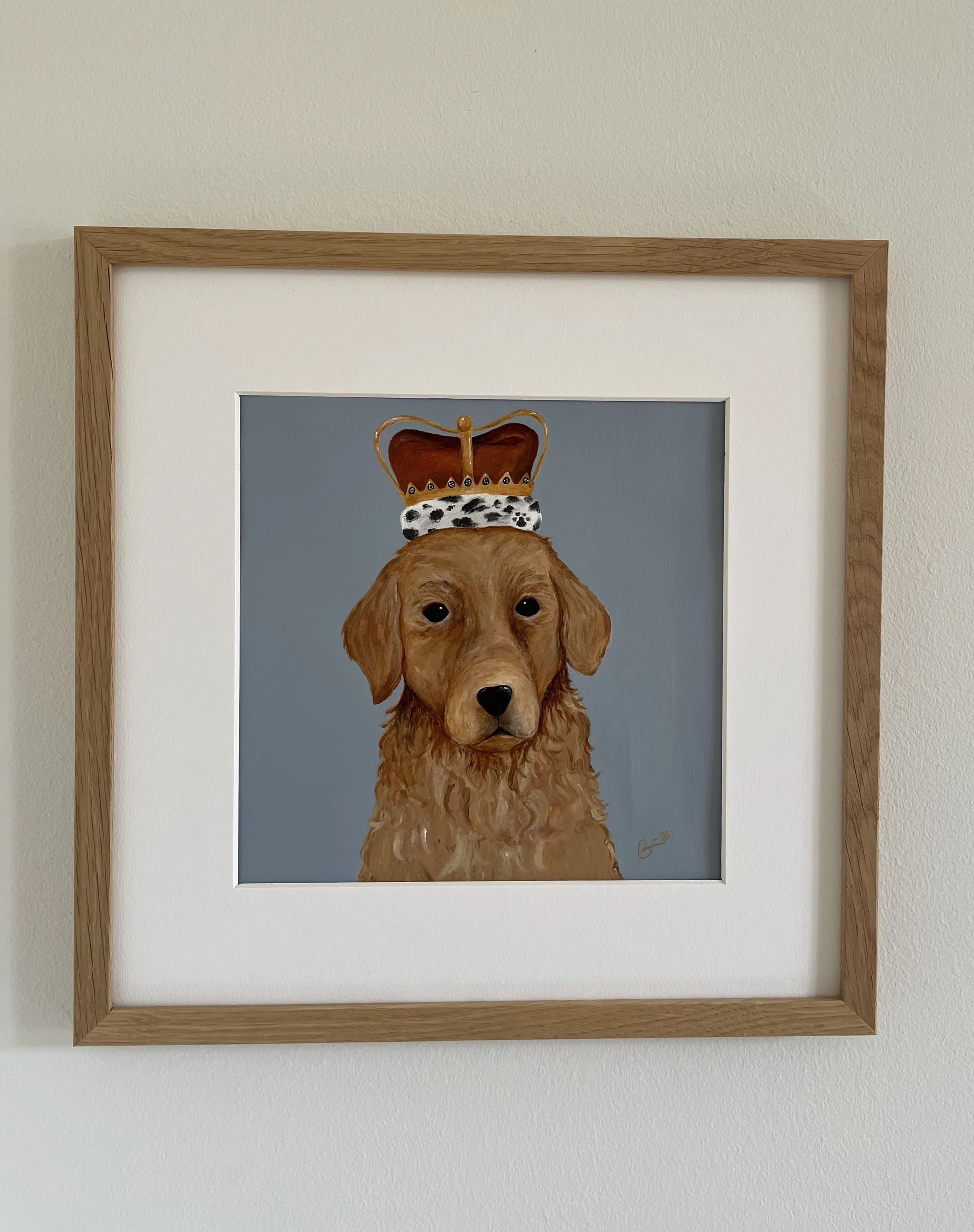 Les Royales - Golden Retriever
