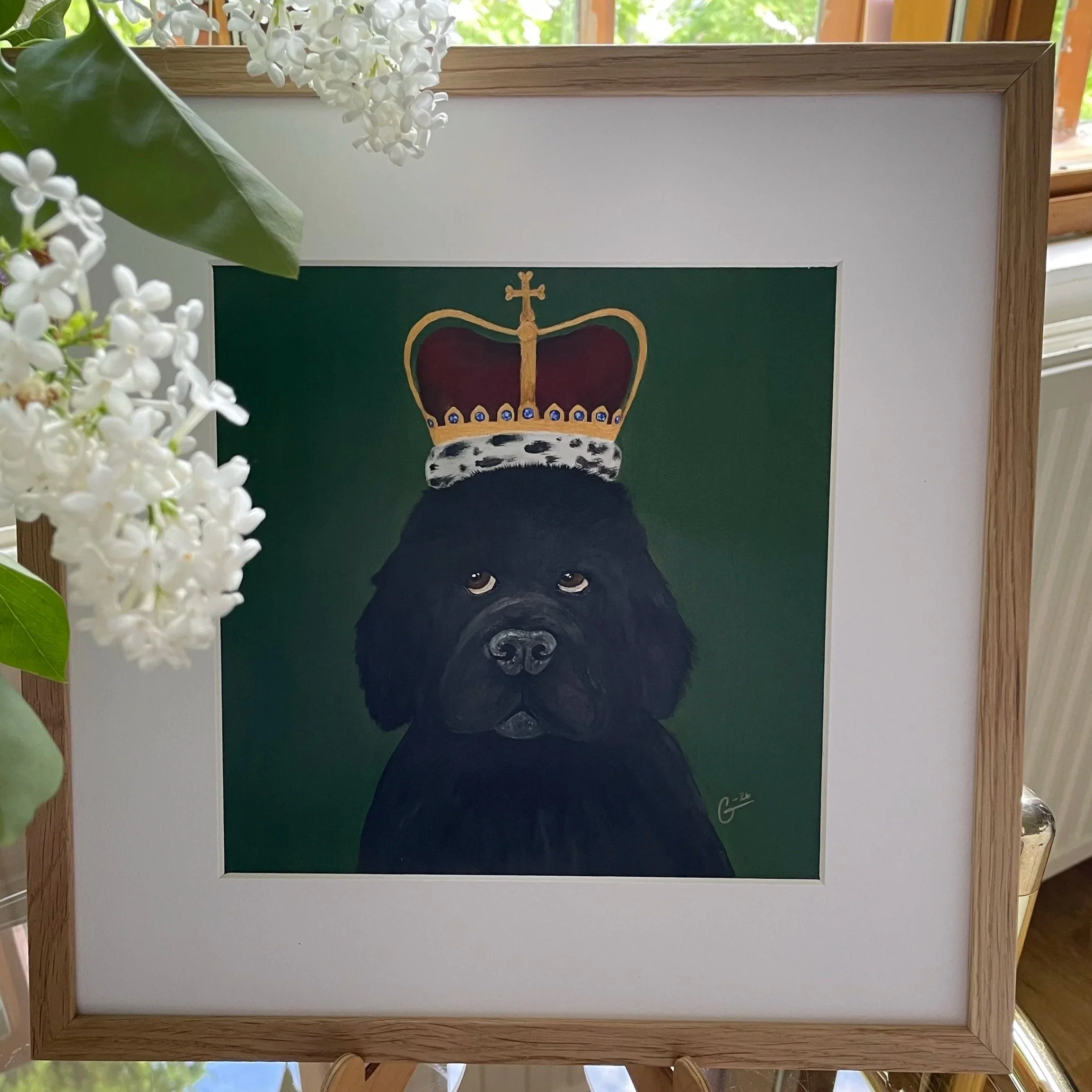 Les Royales - Newfoundland -
32 x 32 cm including the oak frame