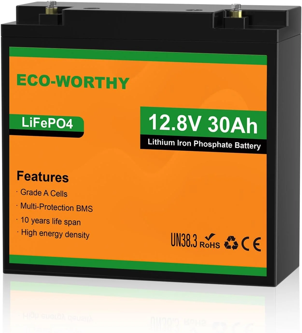 ECO-WORTHY 12V 30Ah LiFePO4 Lithium Battery