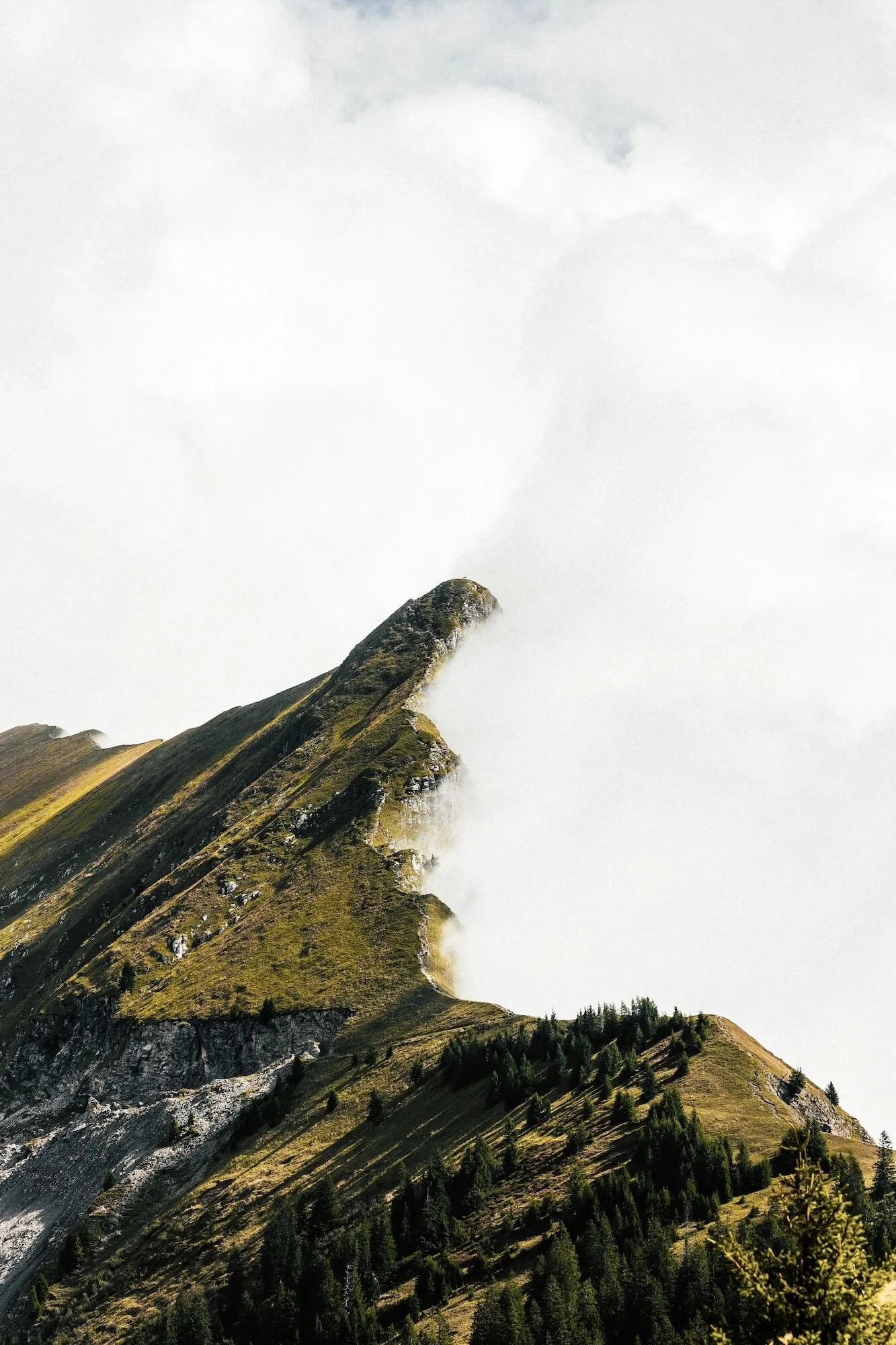 Berg mit steiler, grüner Flanke und Bäumen im Vordergrund, umgeben von Wolken.