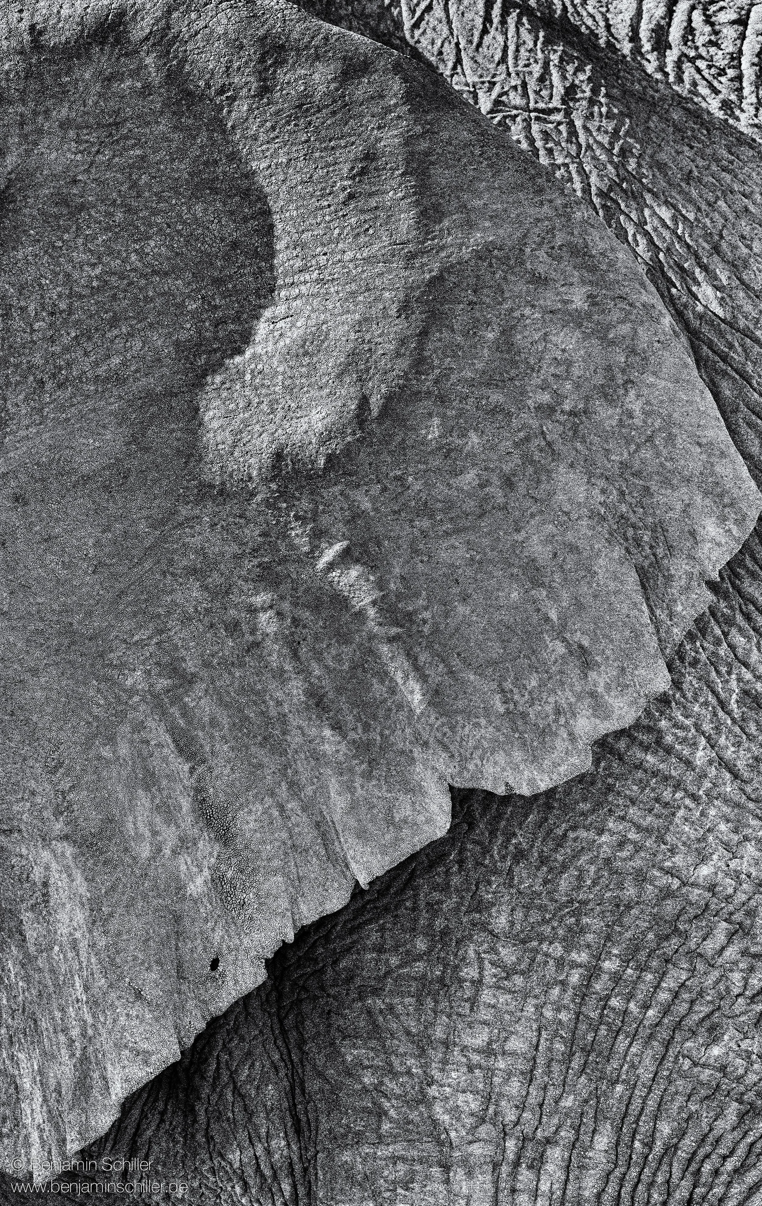 Benjamin_Schiller_Namibia_Fauna-28.jpg