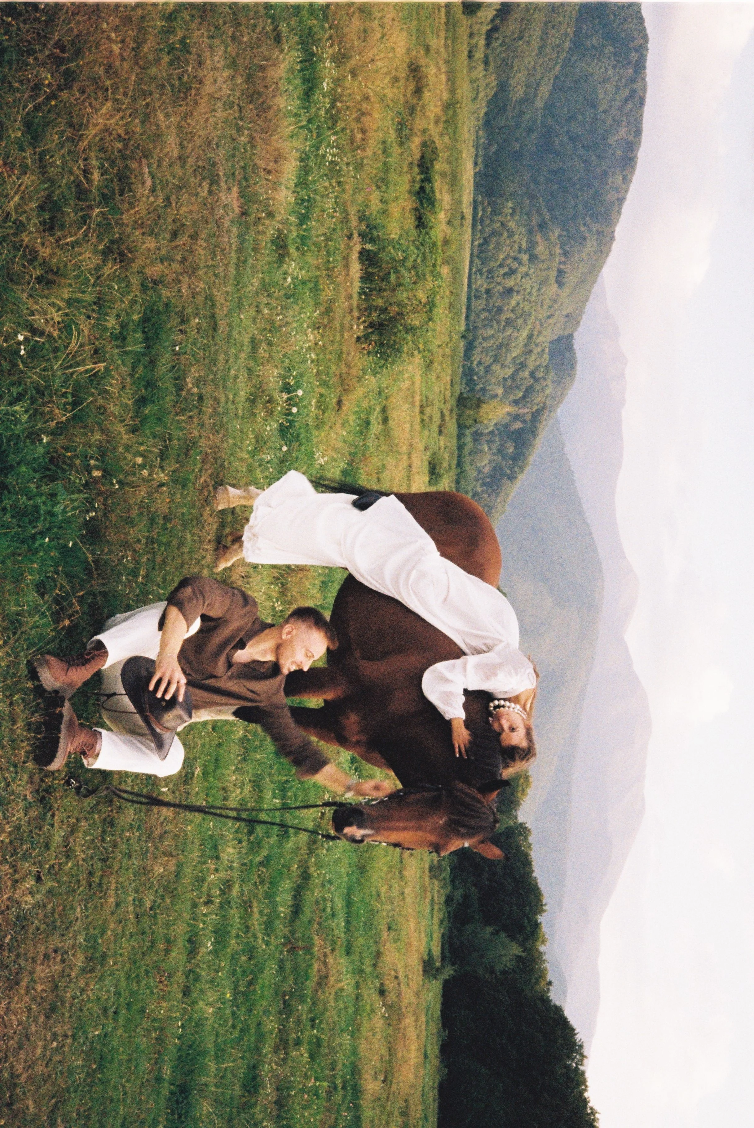 People interacting with a brown horse in a grassy field with trees and mountains in the background, overcast sky.