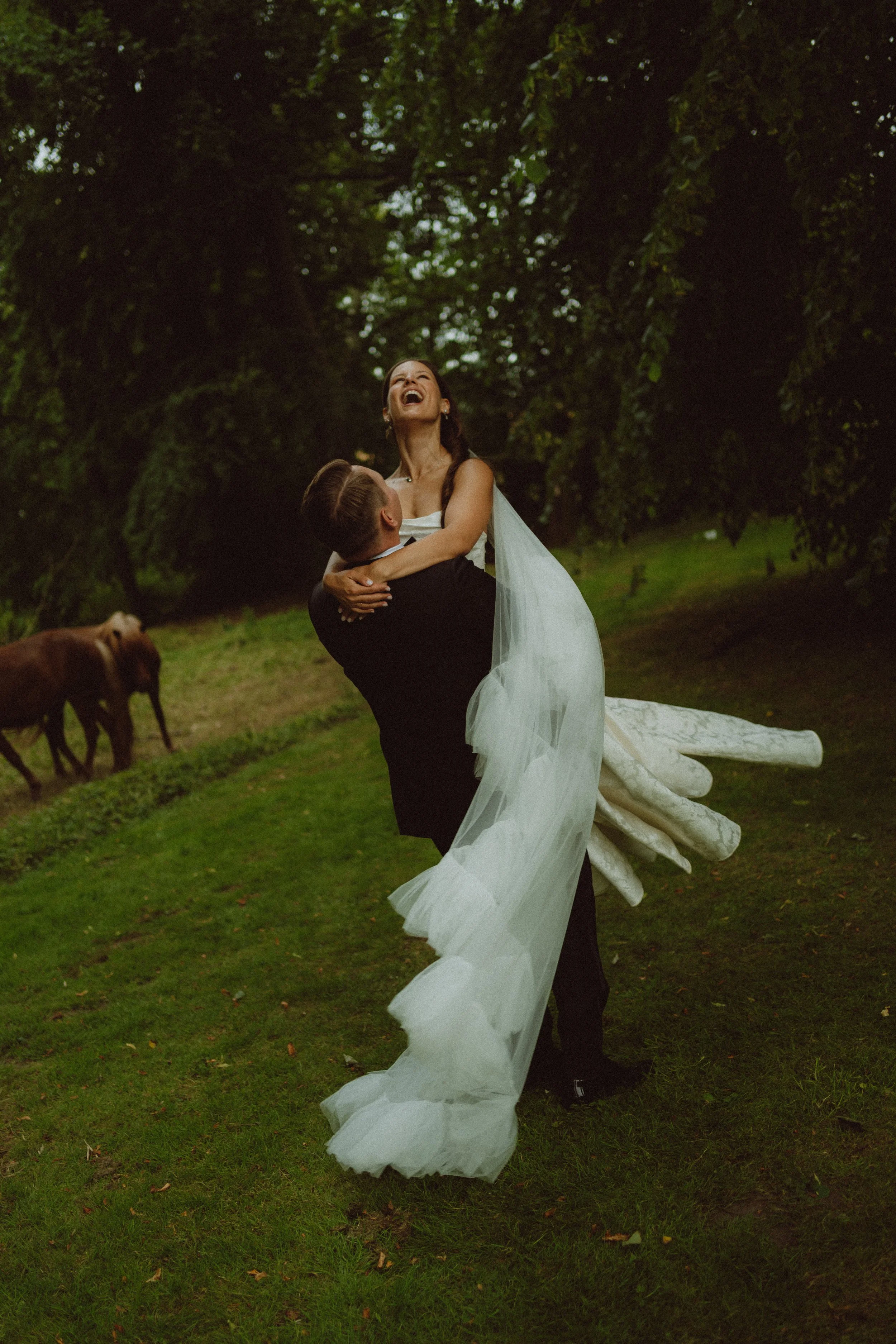 A newlywed couple sharing a joyful moment outdoors, with the groom lifting the bride who is smiling and laughing, in a green, wooded park setting with horses grazing in the background.