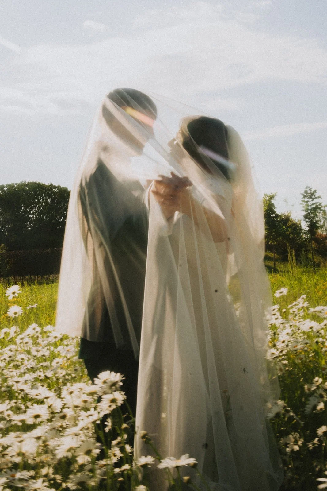 A couple standing close together outdoors in a field of white daisies, partially obscured by a translucent veil, with trees and a cloudy sky in the background.