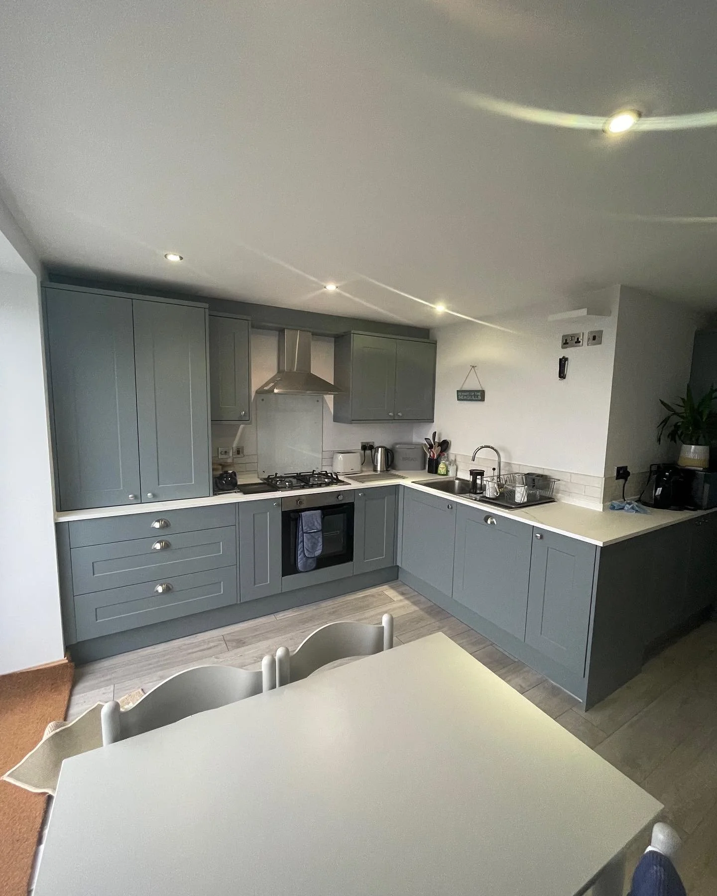 Modern kitchen with light gray cabinets, white countertops, stainless steel appliances, and small potted plant on the counter.