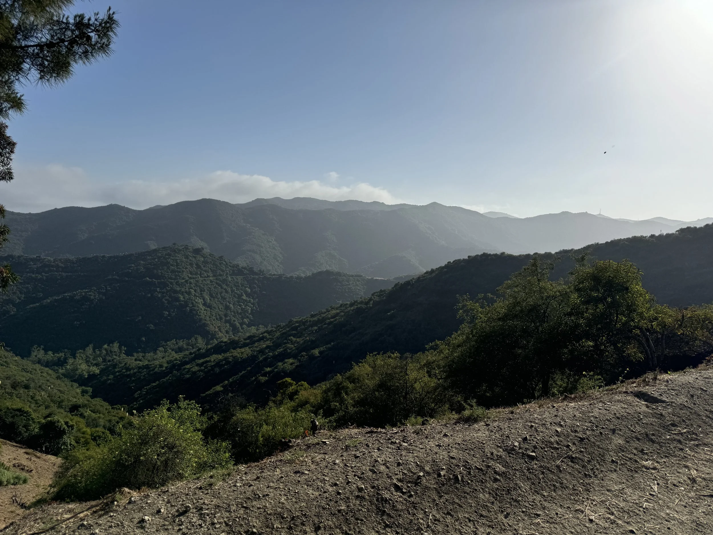 IMG_1224.jpeg