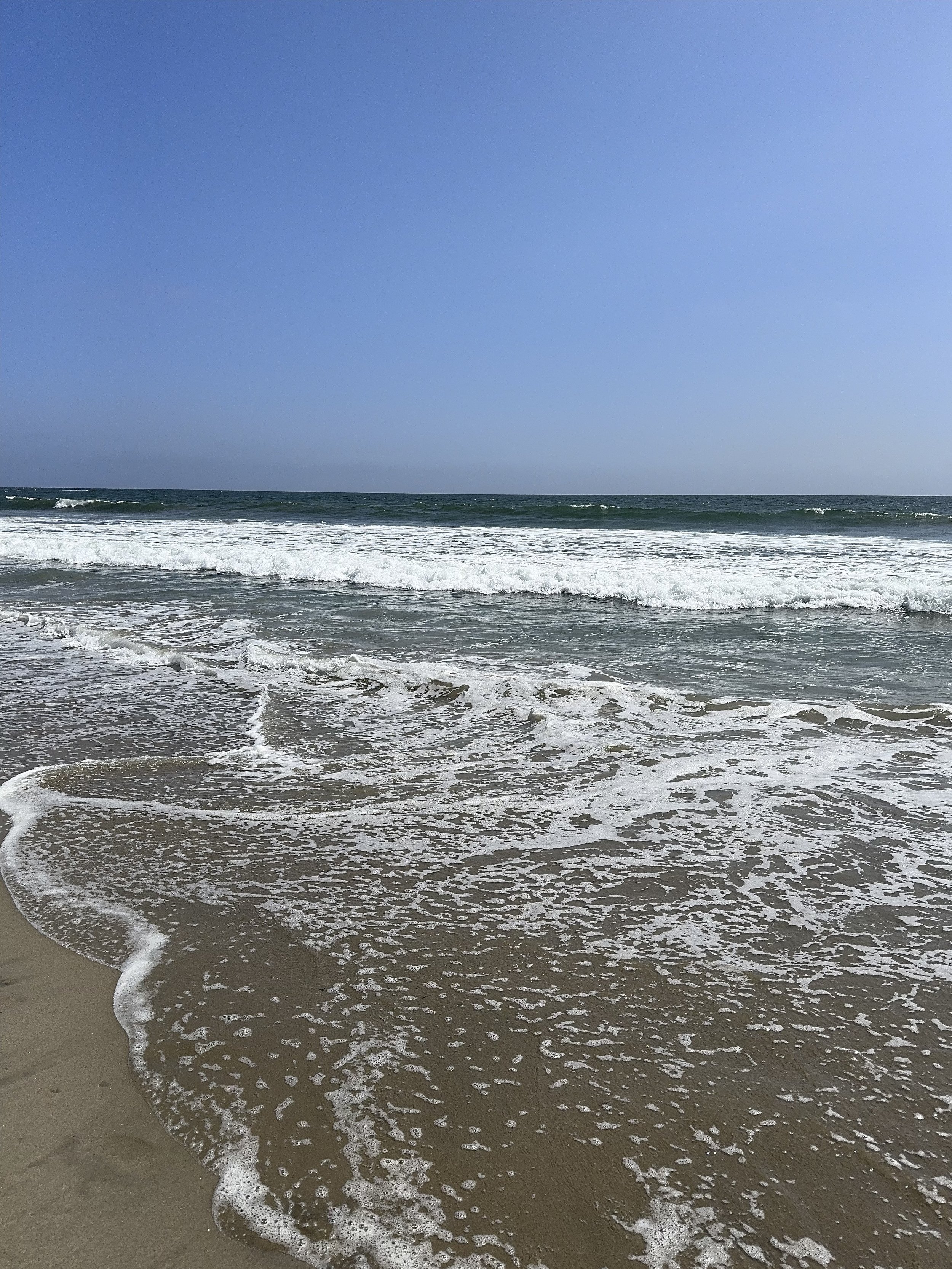 IMG_1219.jpeg