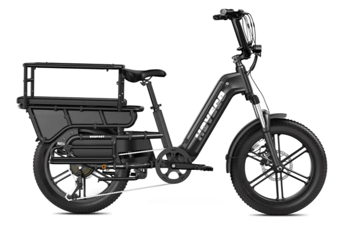 Electric Bike w/ Kid Carrier