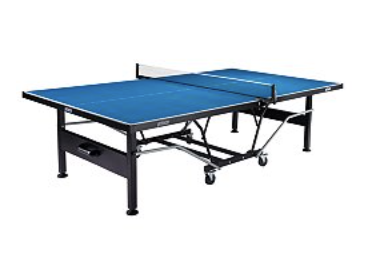 Ping Pong Table