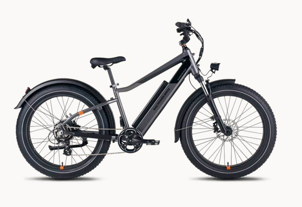 Electric Bike (Copy)