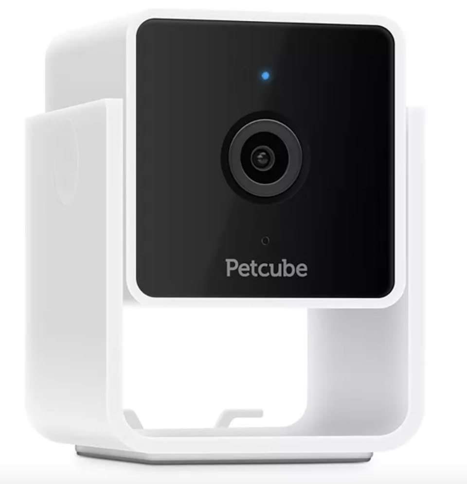 Pet Cube