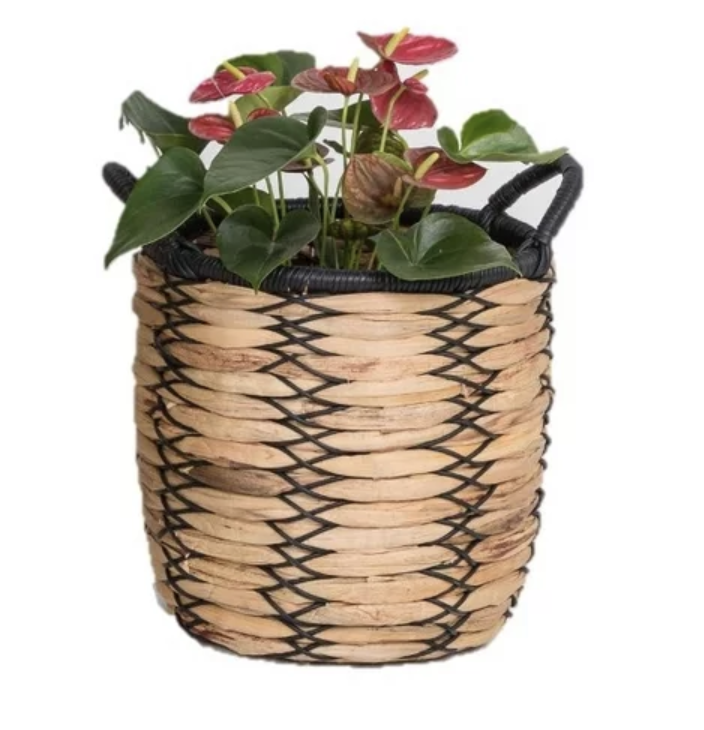 Claren Woven Plant Basket