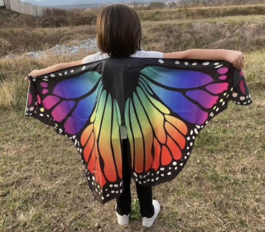 Butterfly Wings