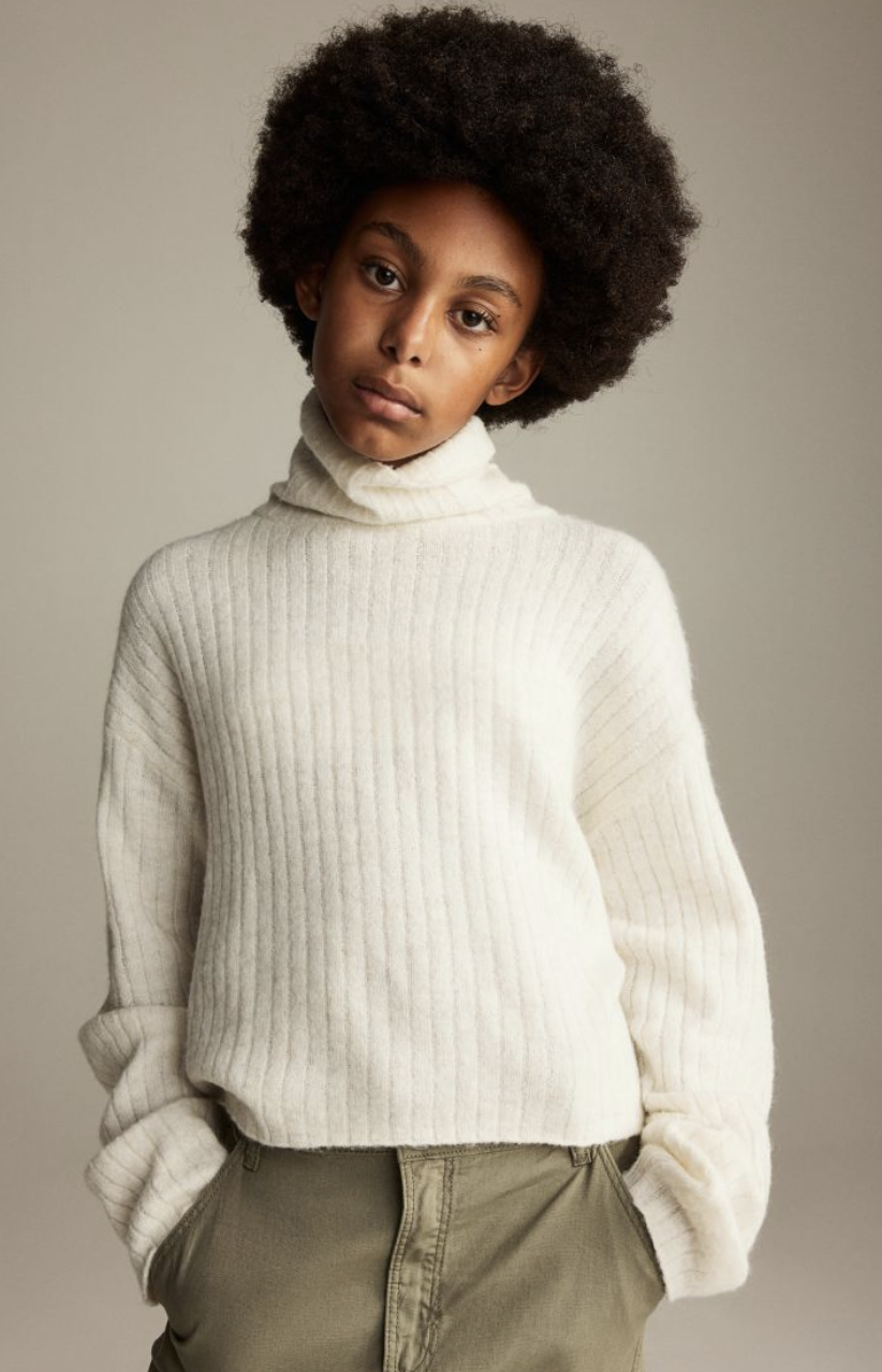 H&amp;M Turtleneck Sweater