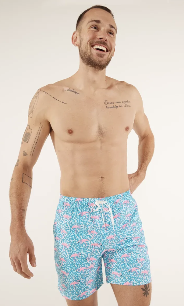Chubbies Bathing Suit